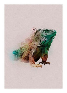 Komar Poster Animals Paradise Iguana, Tiere (1 St), Kinderzimmer, Schlafzimmer, Wohnzimmer