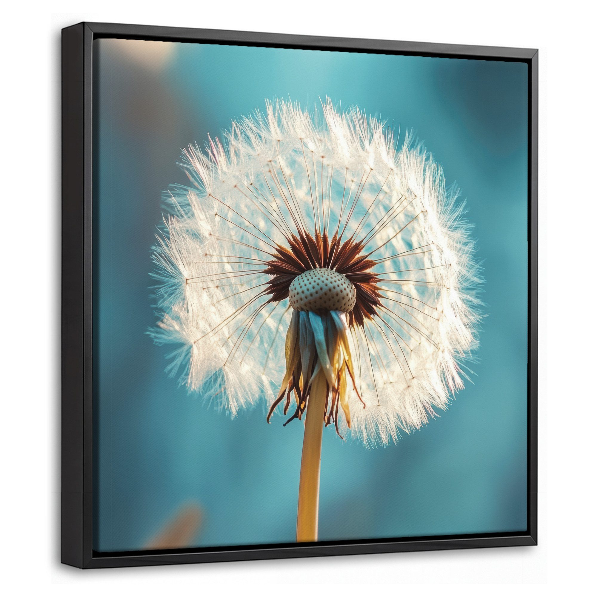 OneMillionCanvasses® Leinwandbild mit Rahmen - Löwenzahn - Natur - Blumen - Blau, Fotodruck (1 St), Leinwand Bilder Klein, Wand Dekoration Aesthetic 20x20cm