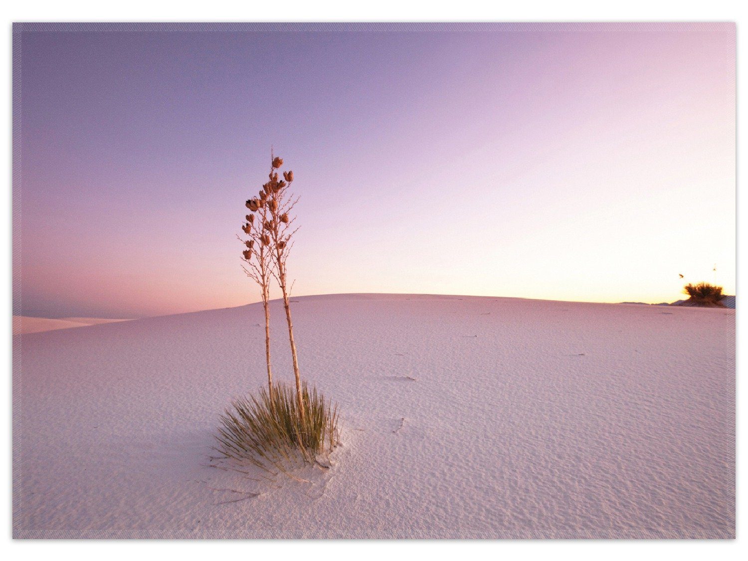 Teppich Kleine Oase in der Wüste, Wallario, rechteckig, rutschfest