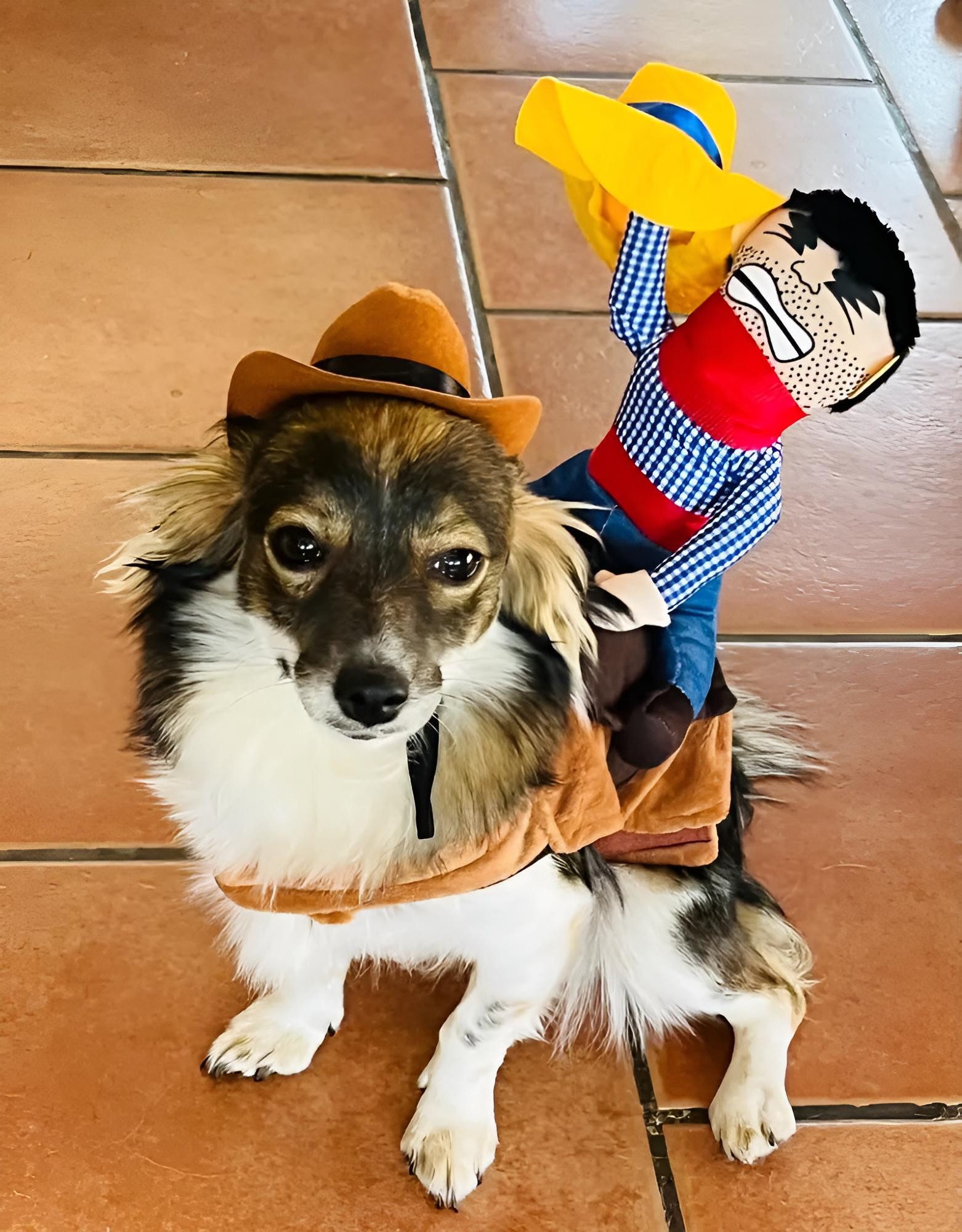 Corimori Hundekostüm Süßes Cowboy-Kostüm für Hund & Katze, lustiges Hunde Western Outfit mit Sattel & Figur – mit Klettverschluss