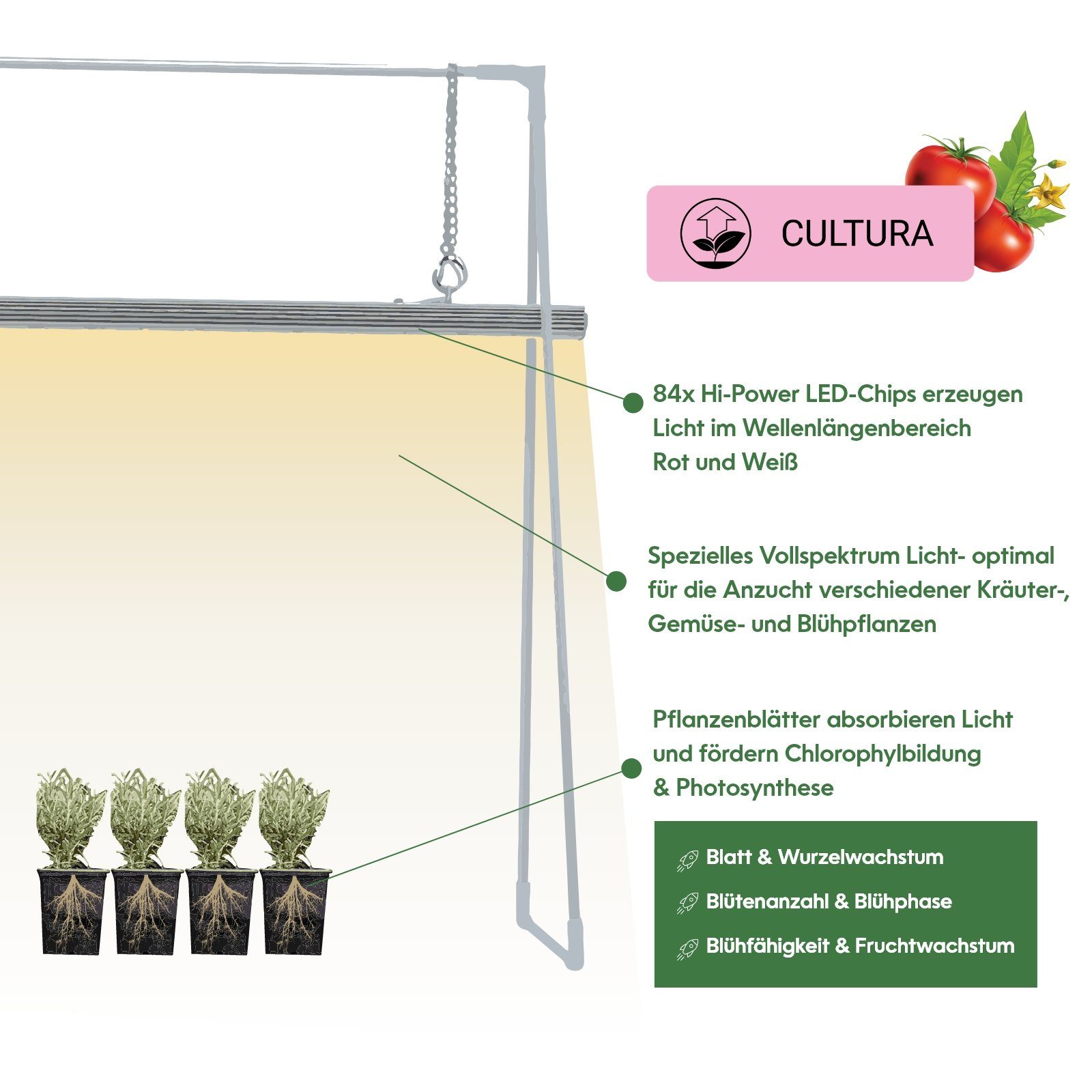 PARUS LED Spektrum, GrowLight Pflanzenlampe Pflanzenarmatur Grow Stativ Cultura, mit Duo White integriert,