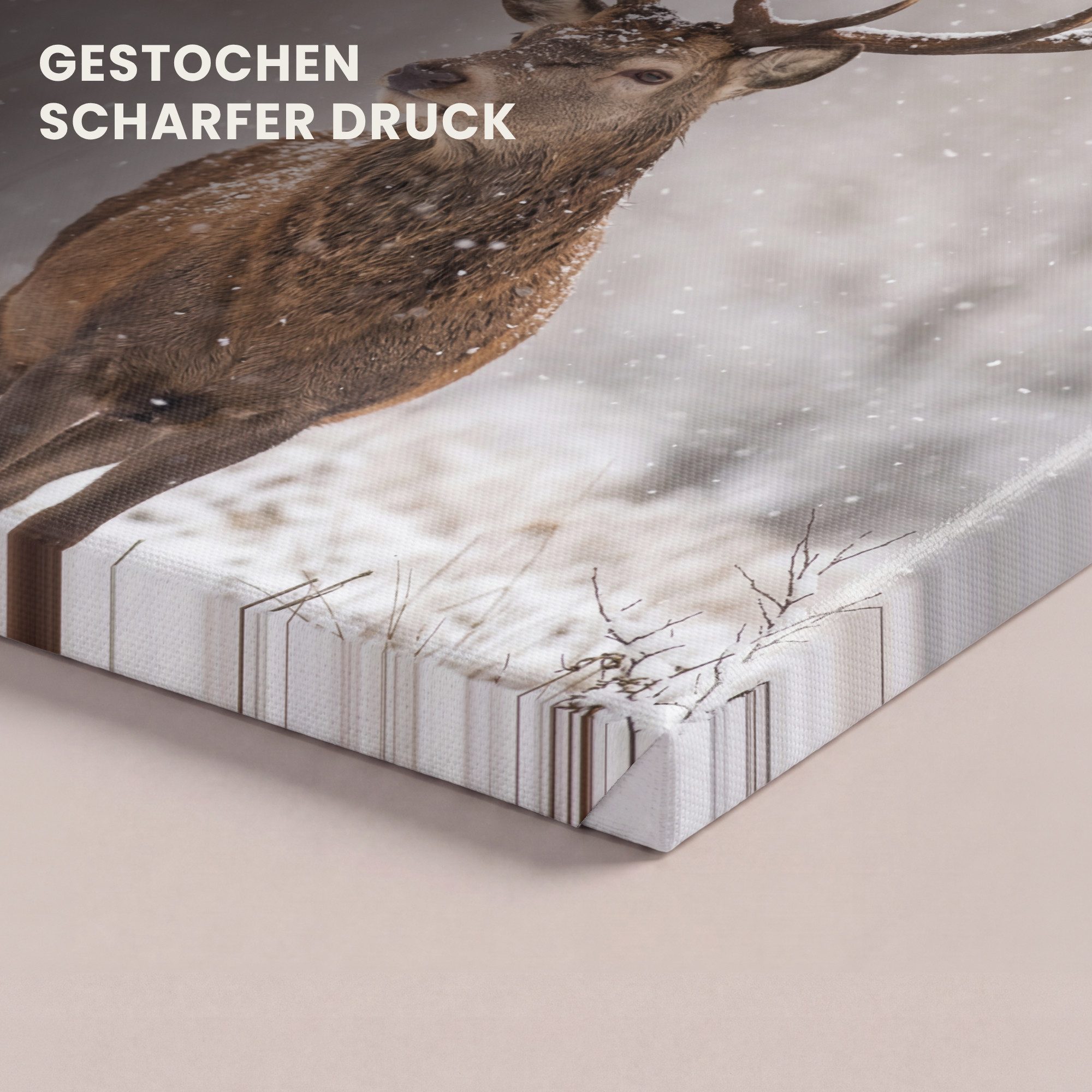 OneMillionCanvasses® Leinwandbild Rothirsch - Wald - Schnee - Winter - Majestätisch, Fotodruck (1 St), Leinwand Bilder Klein, Wand Dekoration Aesthetic 30x20 cm – Bild 3 von 5