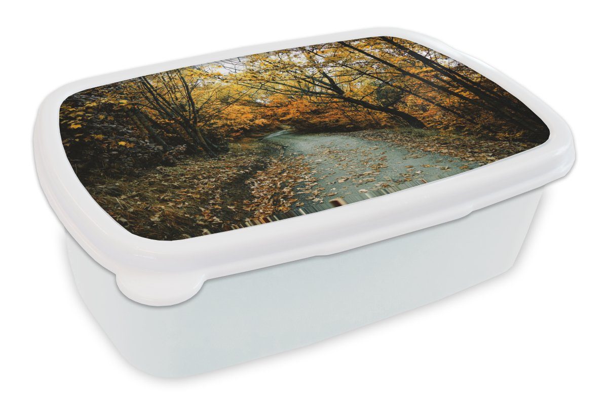 MuchoWow Lunchbox Blätter - Herbst - Wald, Kunststoff, (2-tlg), Brotbox für Kinder und Erwachsene, Brotdose, für Jungs und Mädchen weiß