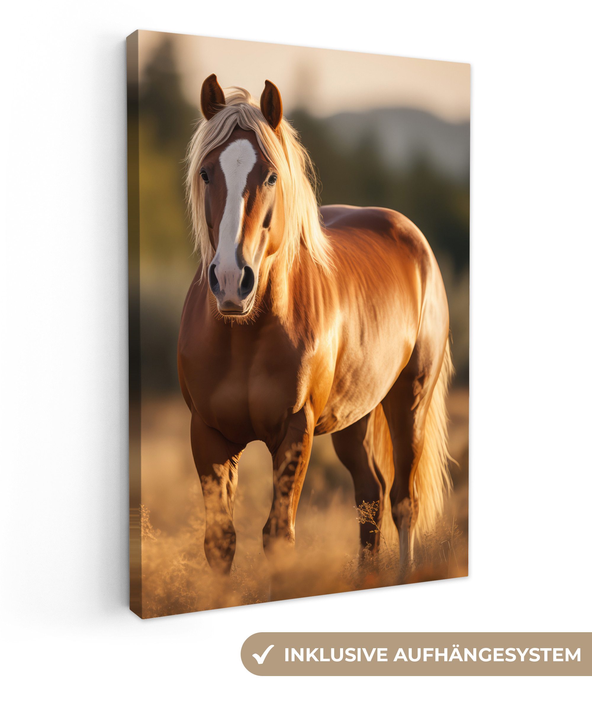 OneMillionCanvasses® Leinwandbild Pferd - Braun - Natur - Weide - Tier, Fot günstig online kaufen