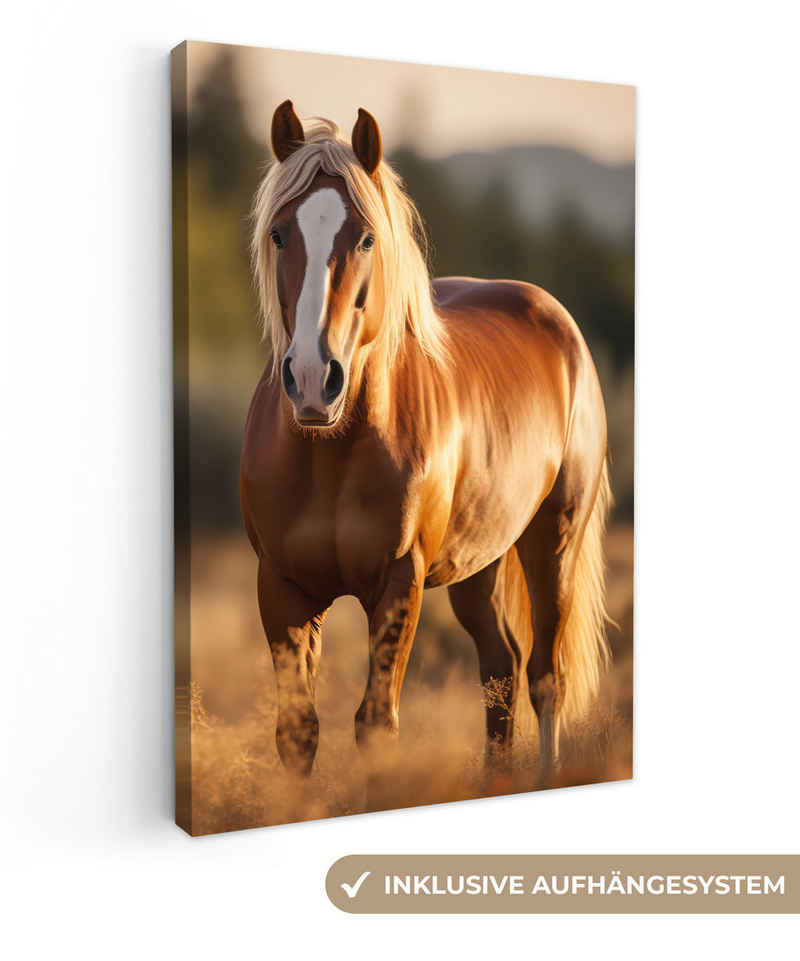 OneMillionCanvasses® Leinwandbild Pferd - Braun - Natur - Weide - Tier, Wiese - Pferd (1 St), Leinwand Wandbild, Wanddekoration 20x30 cm