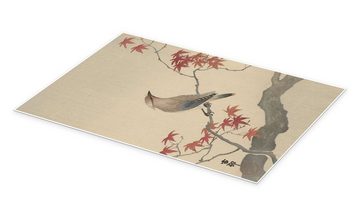 Posterlounge Poster Ohara Koson, Japanischer Seidenschwanz auf Ahorn, ca. 1900, Malerei