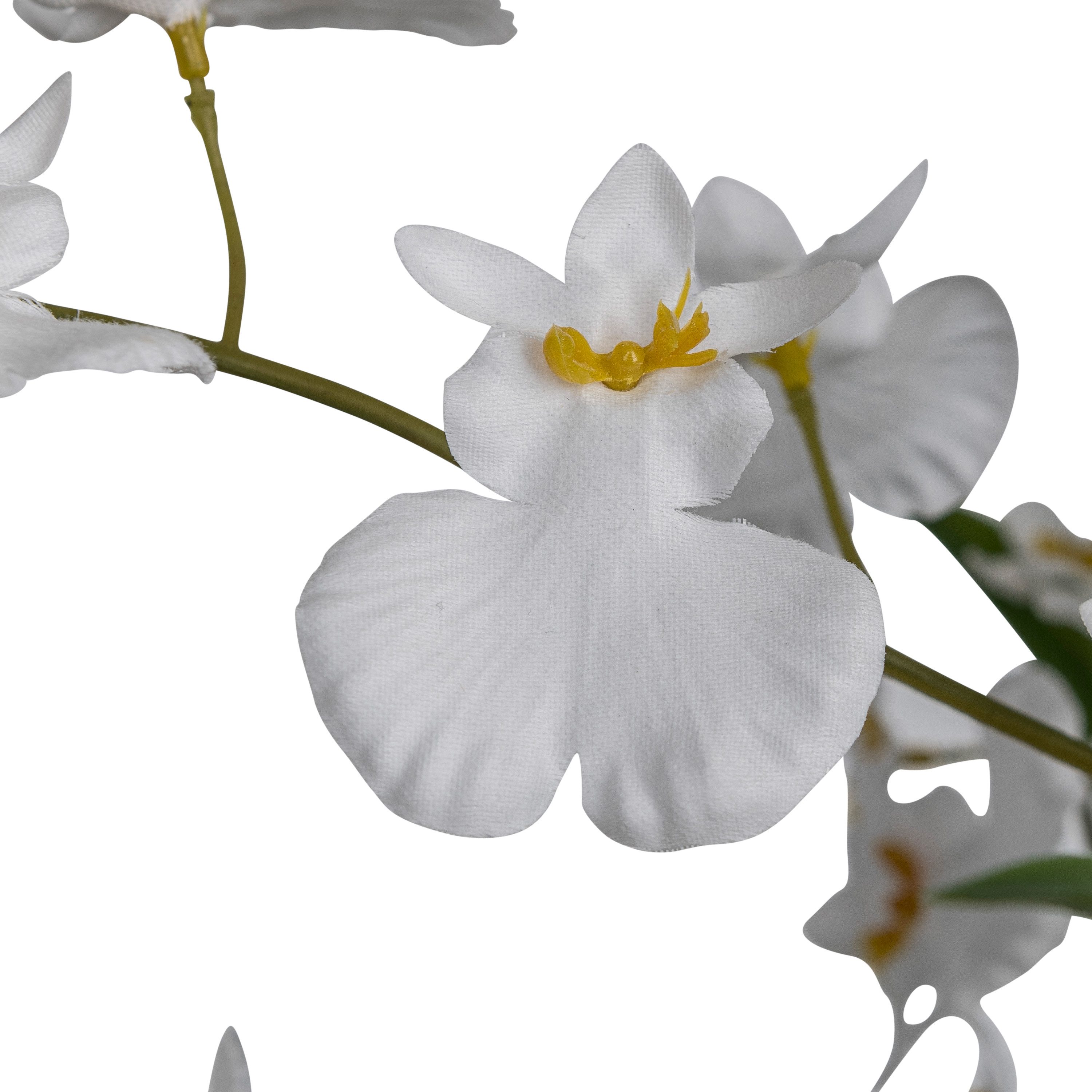 Kunstorchidee Orchidee Oncydie, Creativ green, Höhe 98 cm, im eleganten Top günstig online kaufen