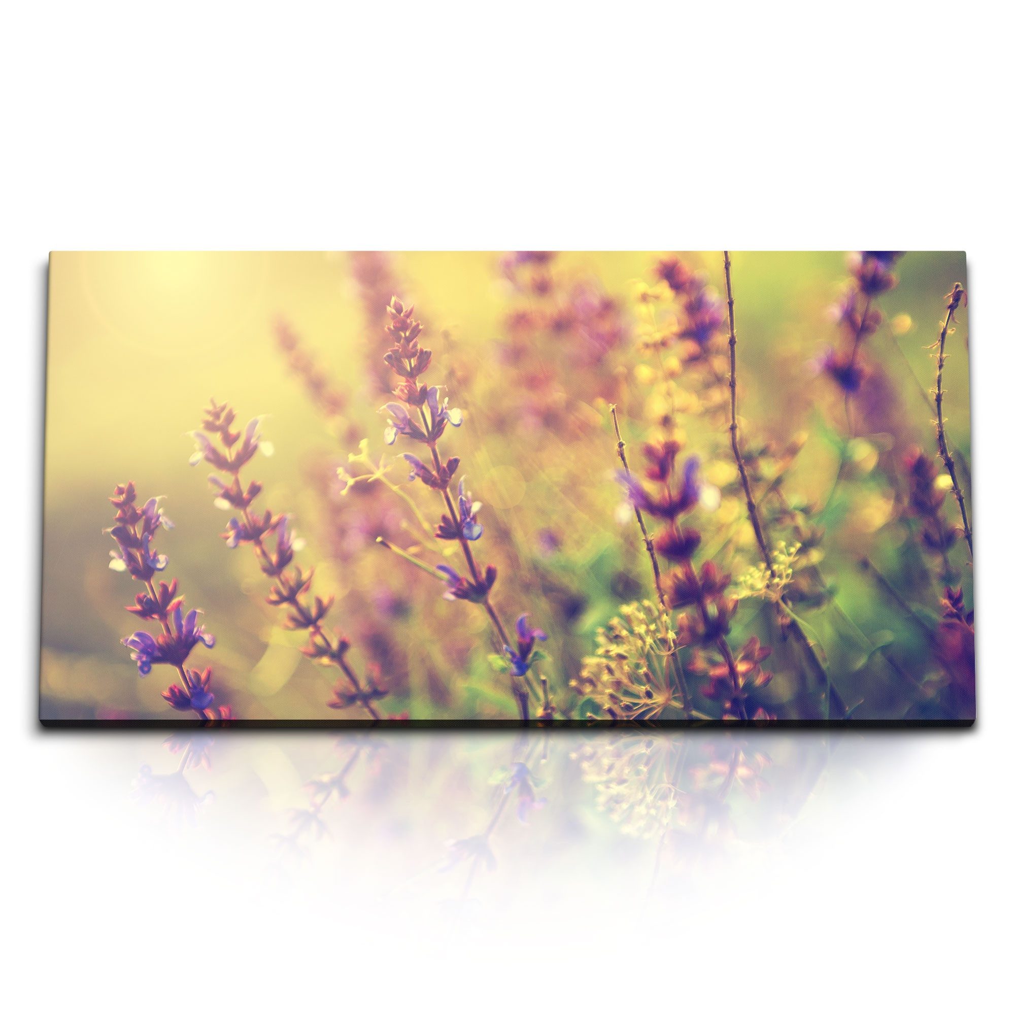 Leinwandbild Kunstdruck Bilder 120x60cm Lavendel Blumen Pflanzen Natur Kunstvoll