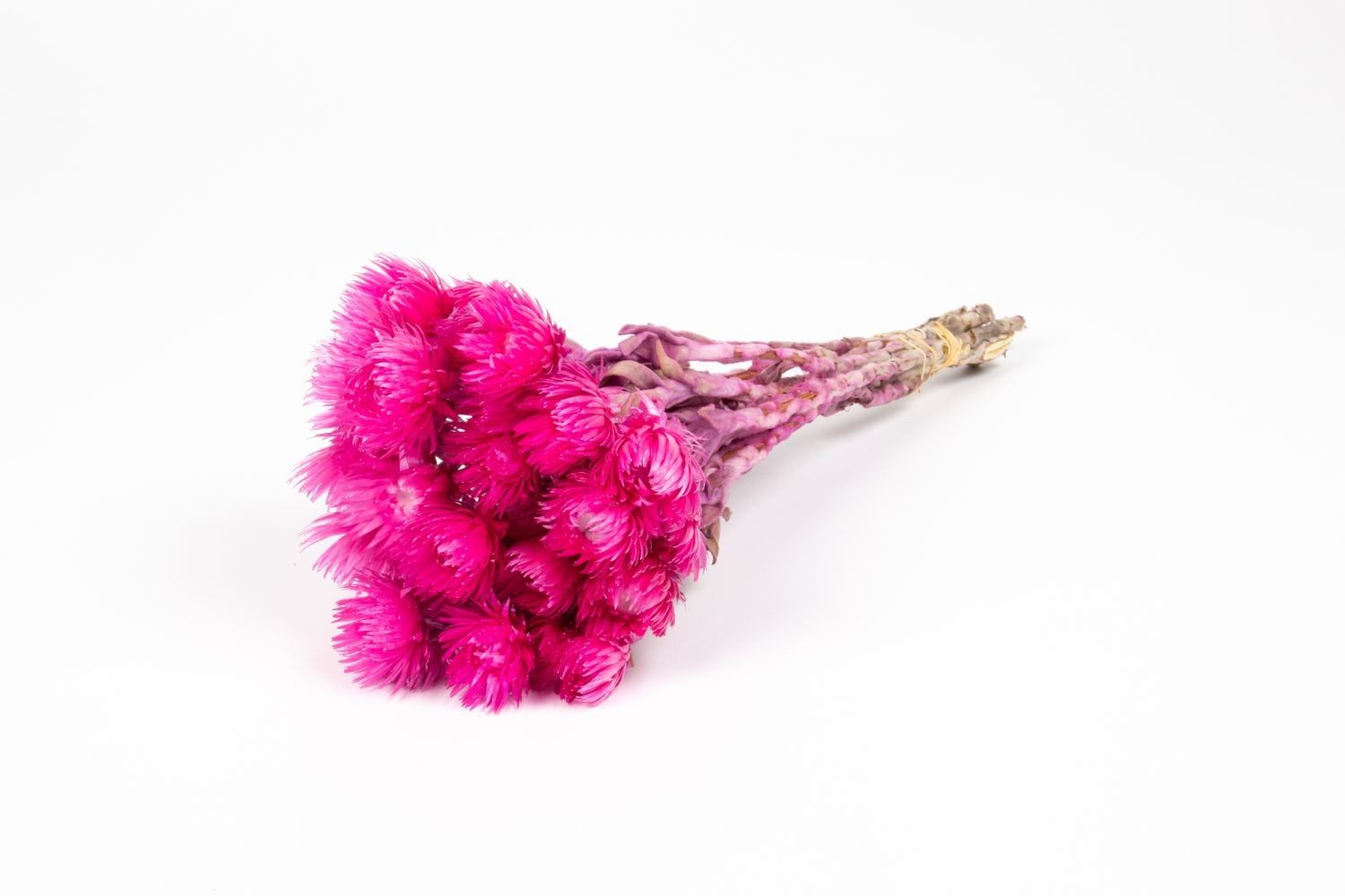 Trockenblume Sonnenblumen Trockenstrauß Bibiana, pink, 30-40cm, Ø15cm, INNA-Glas, Höhe 40.0 cm