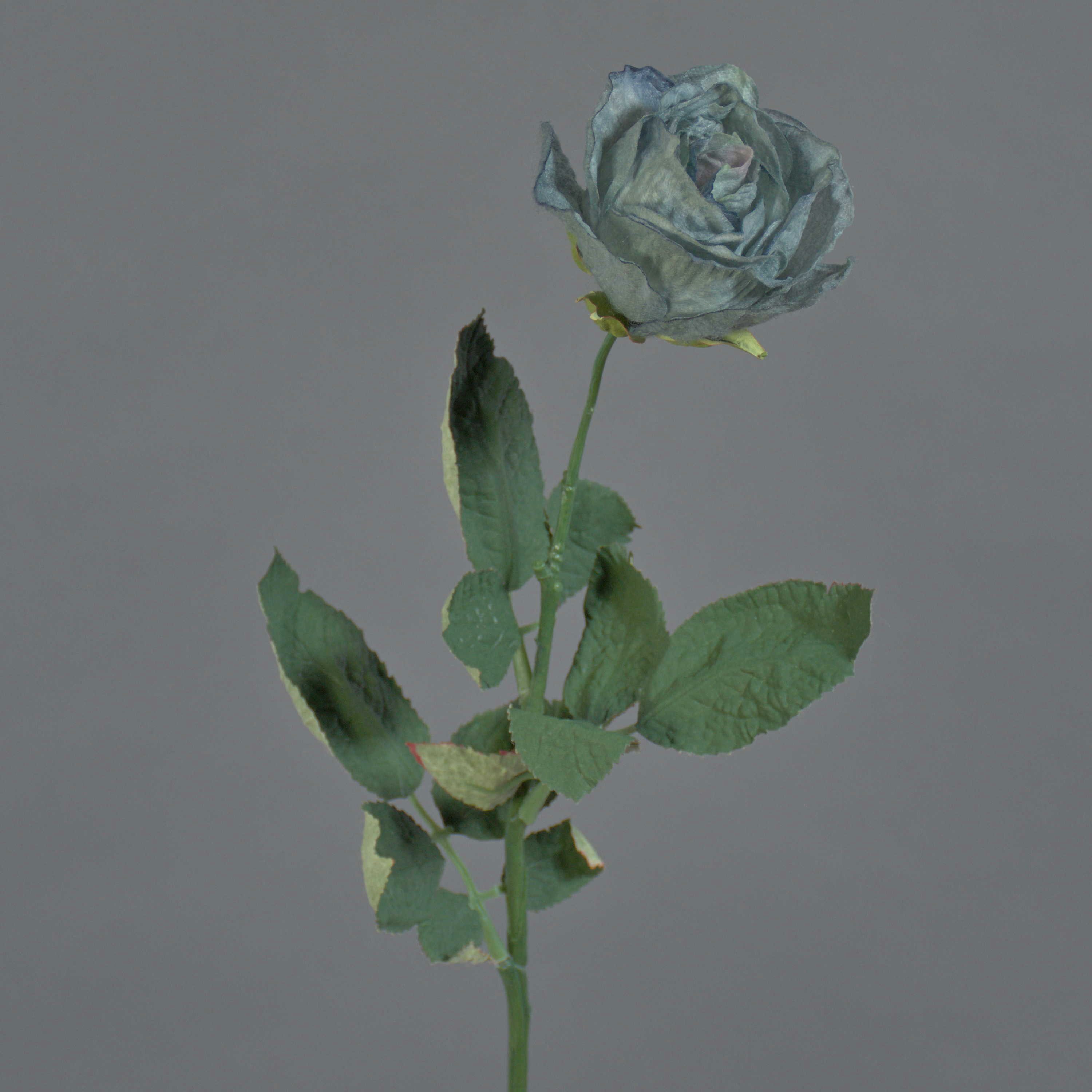 Kunstblume Künstliche Rose Freida, Eco Collection, grau-hellblau, 65cm, Ø7cm Rose, artplants, Höhe 65.0 cm