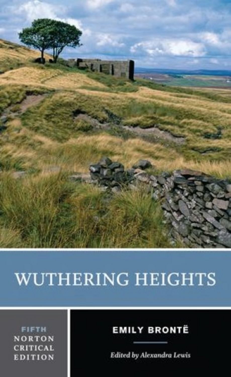 Wuthering Heights / Emily Bronte