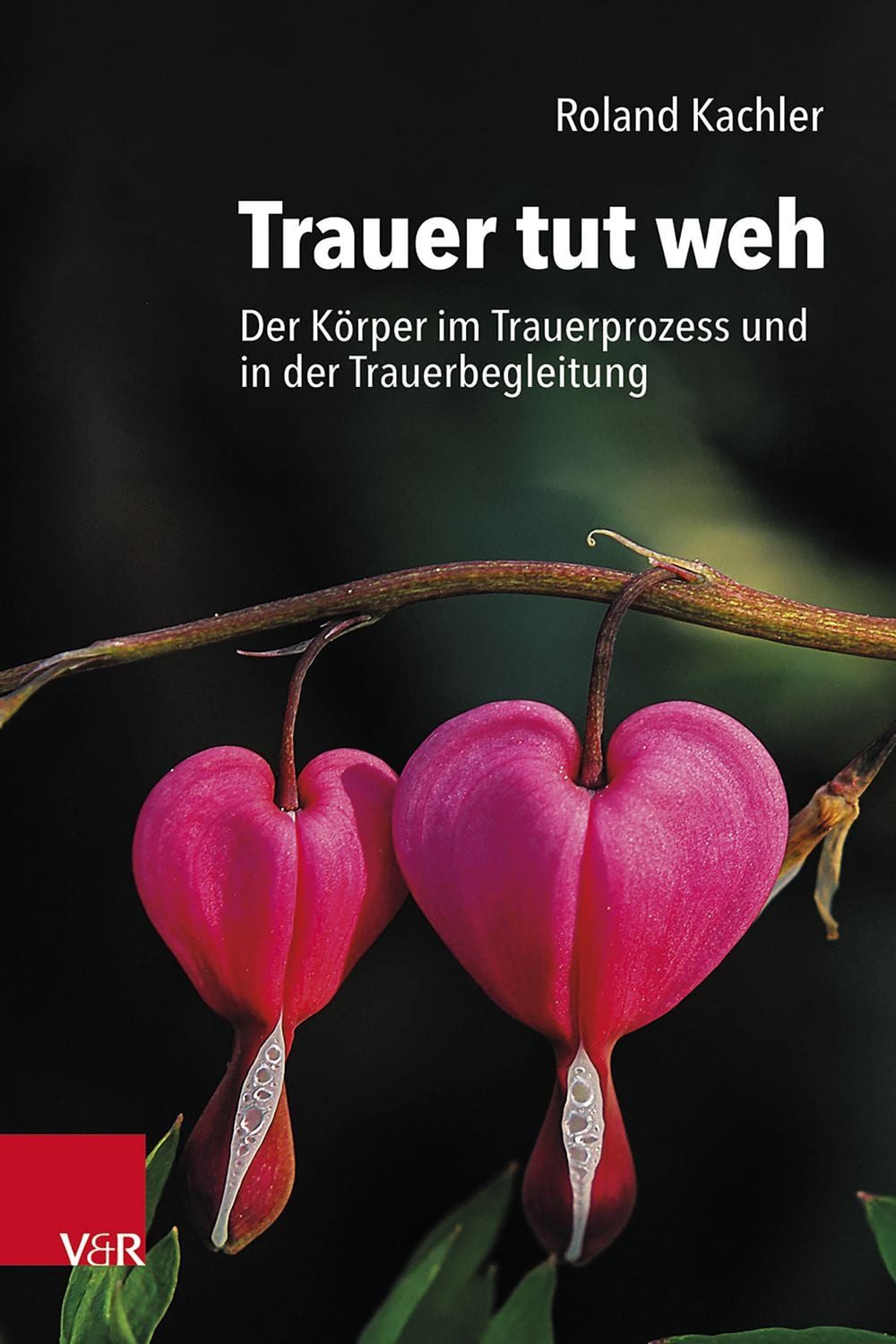 Trauer tut weh / Roland Kachler