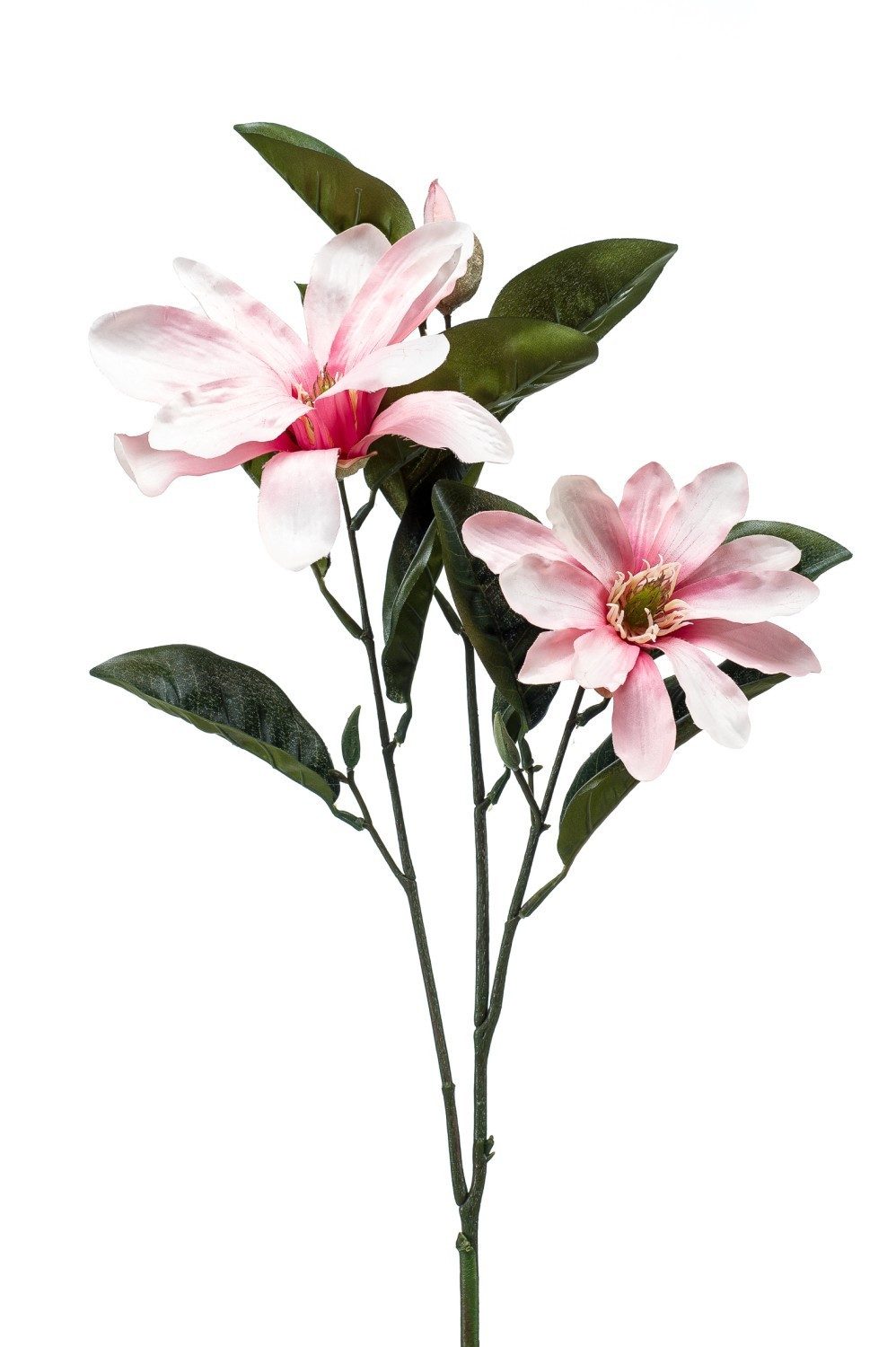 Kunstzweig Künstliche Magnolie BEGUR, rosa, 80cm Magnolie, artplants, Höhe 80.0 cm
