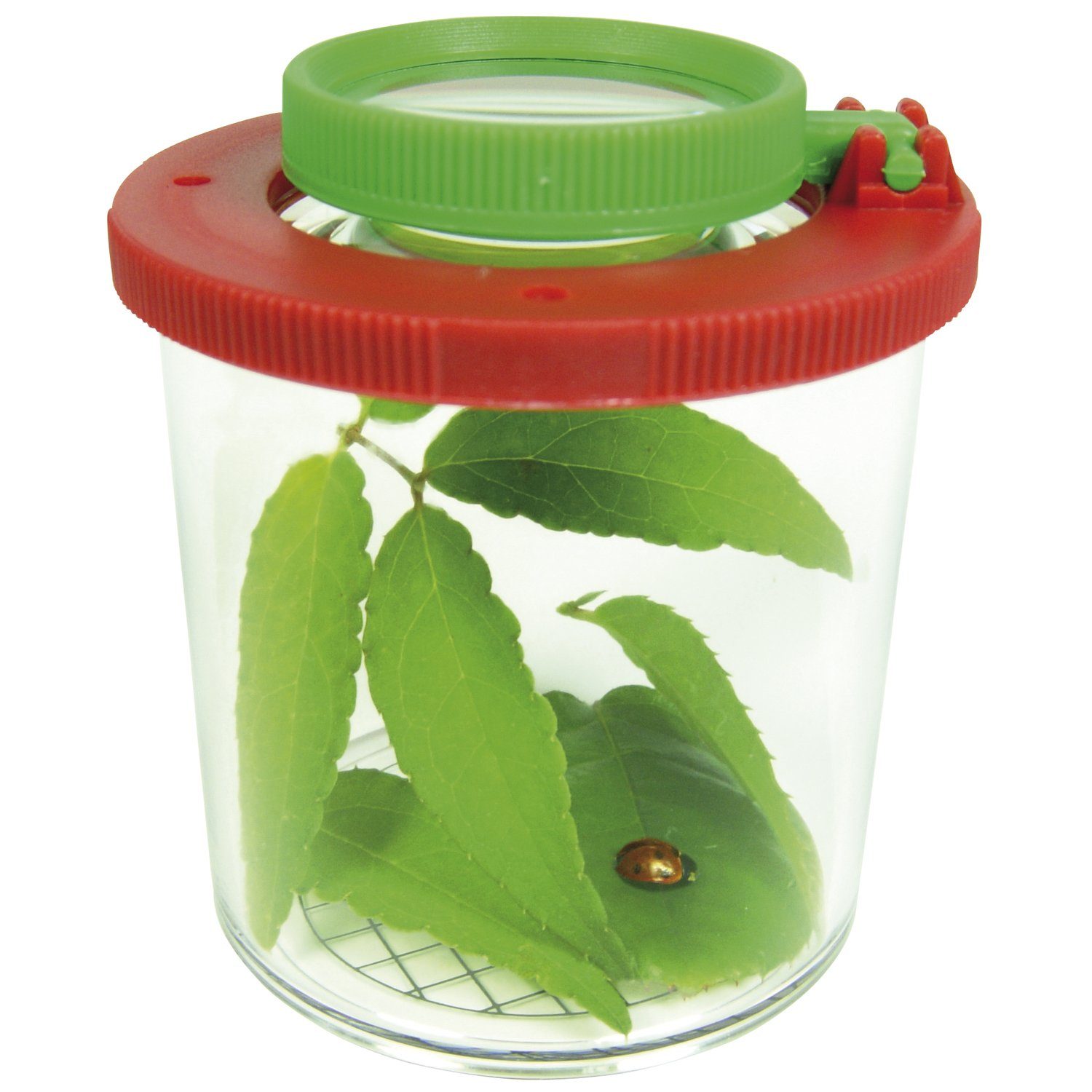 Spielzeug-Gartenset Lupendose Ø 6 cm, H 7 cm, mit Plastikspinne