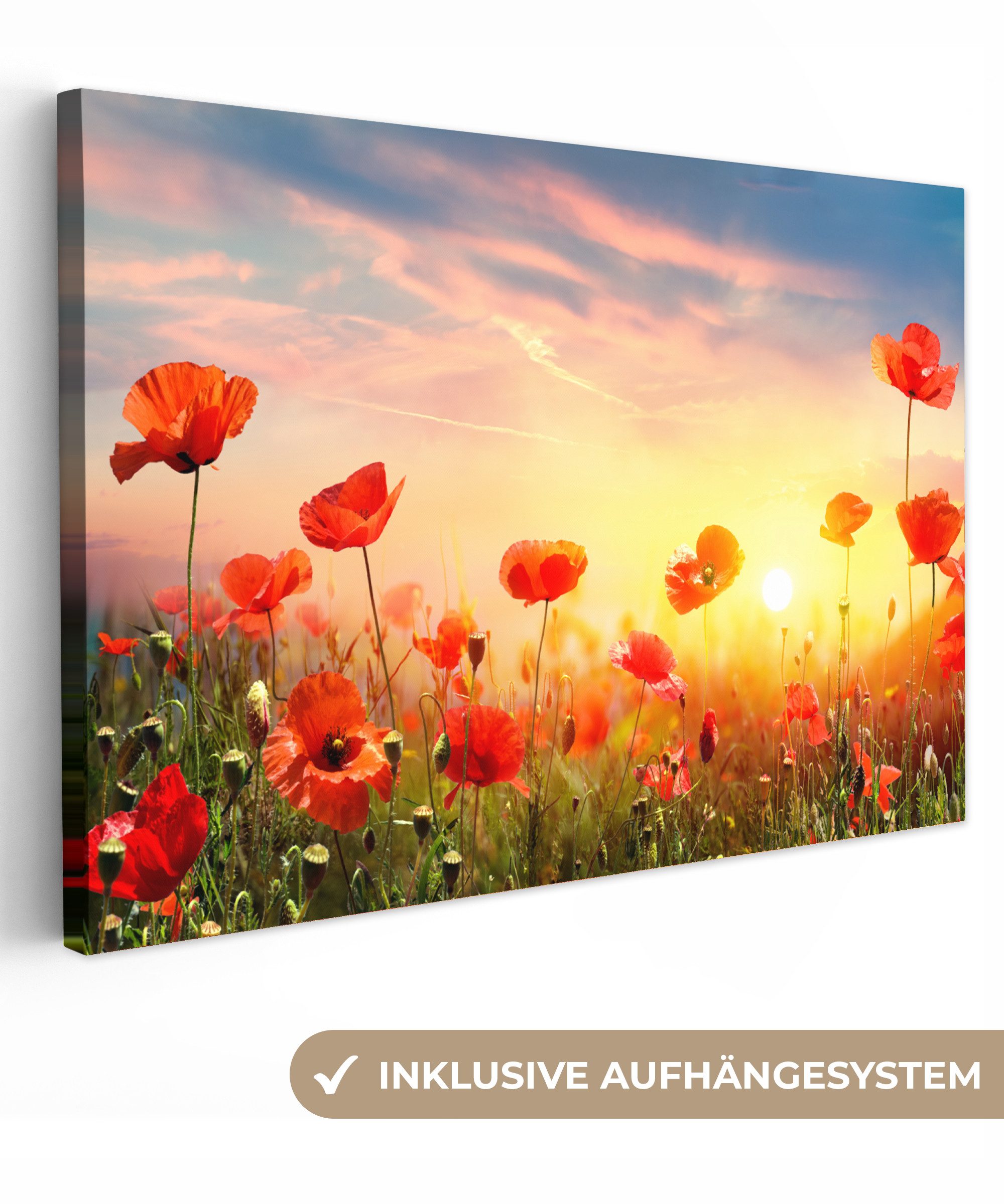 OneMillionCanvasses® Leinwandbild Mohnblumen - Frühling - günstig online kaufen