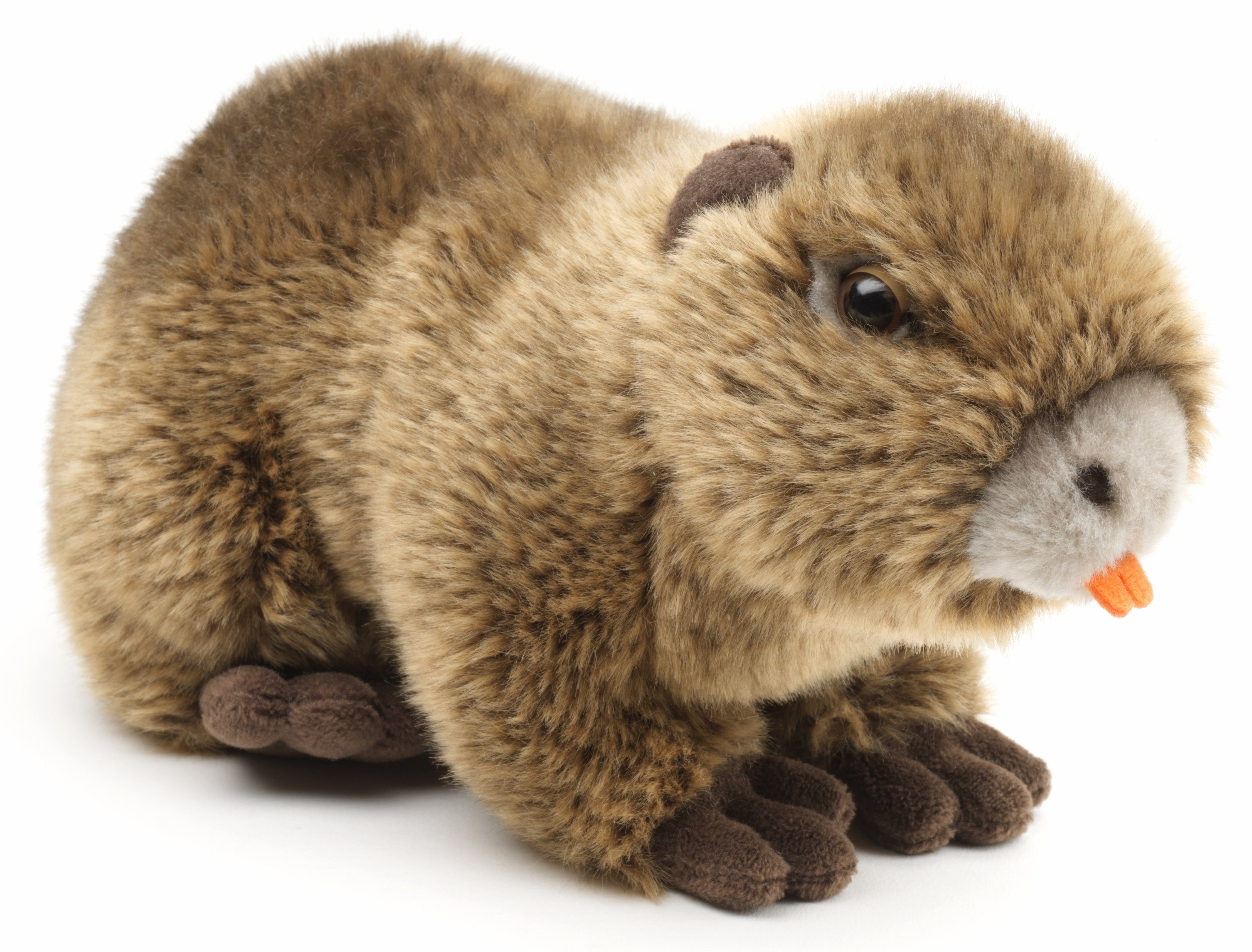 Uni-Toys Kuscheltier Nutria - 22 cm (Länge) - Plüsch-Biberratte, Sumpfotter - Plüschtier, zu 100 % recyceltes Füllmaterial
