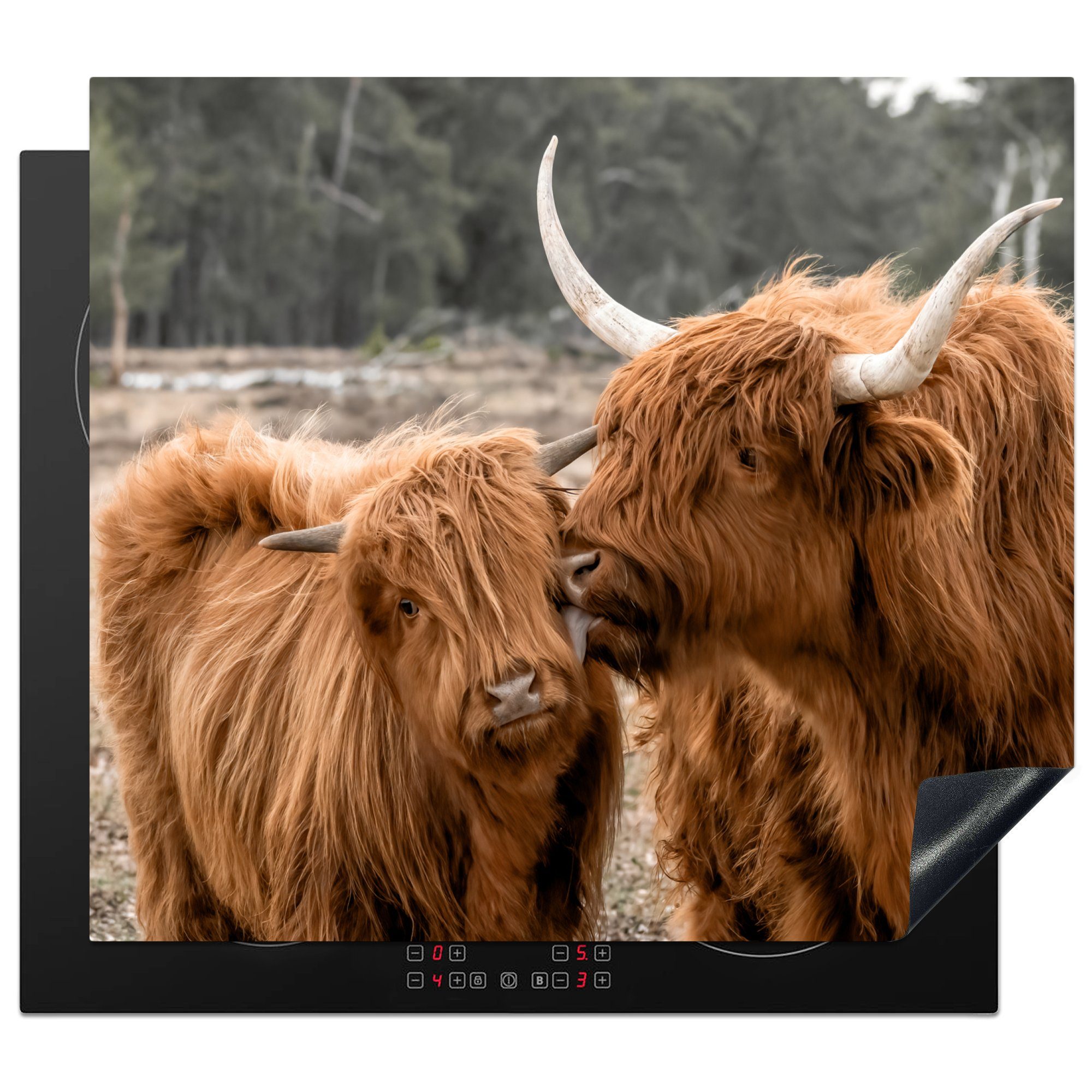 MuchoWow Herdblende-/Abdeckplatte Schottischer Highlander - Tiere - Wald, Vinyl, (1 tlg), 59x52 cm, Ceranfeldabdeckung für die küche, Induktionsmatte