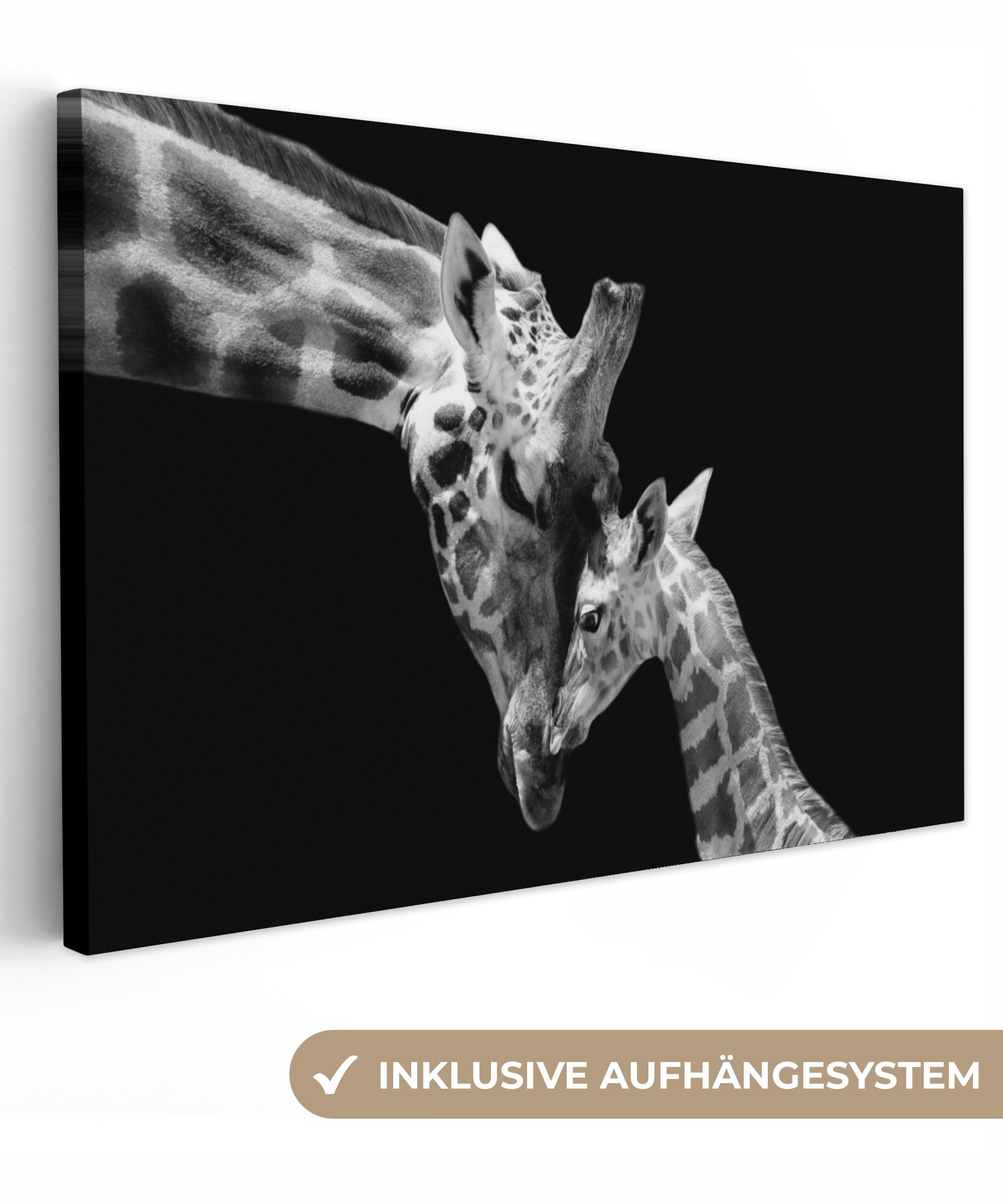 OneMillionCanvasses® Leinwandbild Giraffe - Wildtiere - günstig online kaufen