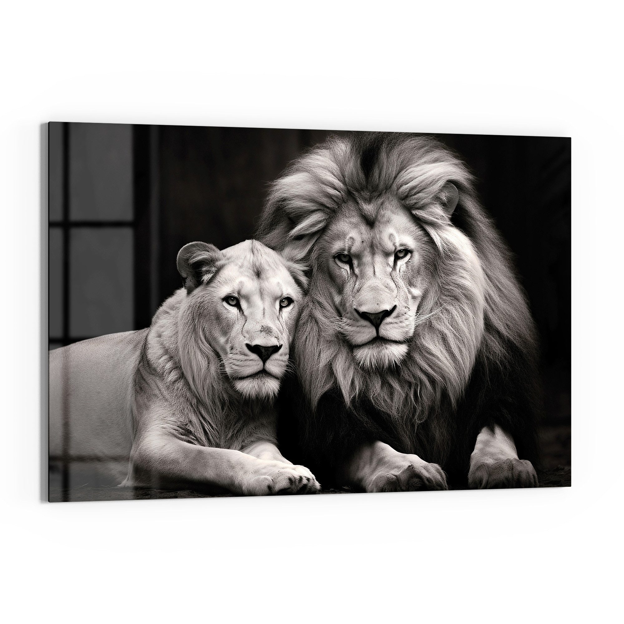 DEQORI Glasbild 'Stolzes Löwenpaar', 'Stolzes Löwenpaar', günstig online kaufen