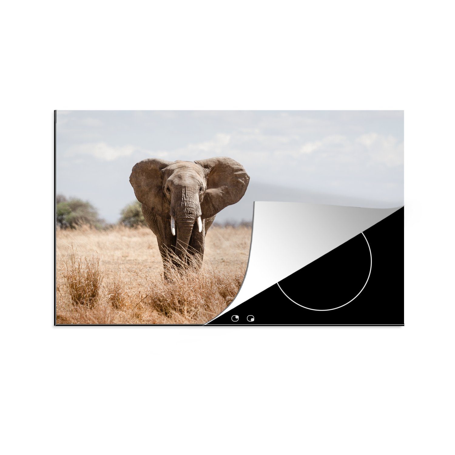 MuchoWow Herdblende-/Abdeckplatte Elefant - cm, Ceranfeldabdeckung (1 tlg), Schutz Induktionskochfeld Vinyl, Porträt, - die küche, für Natur Tiere - 81x52