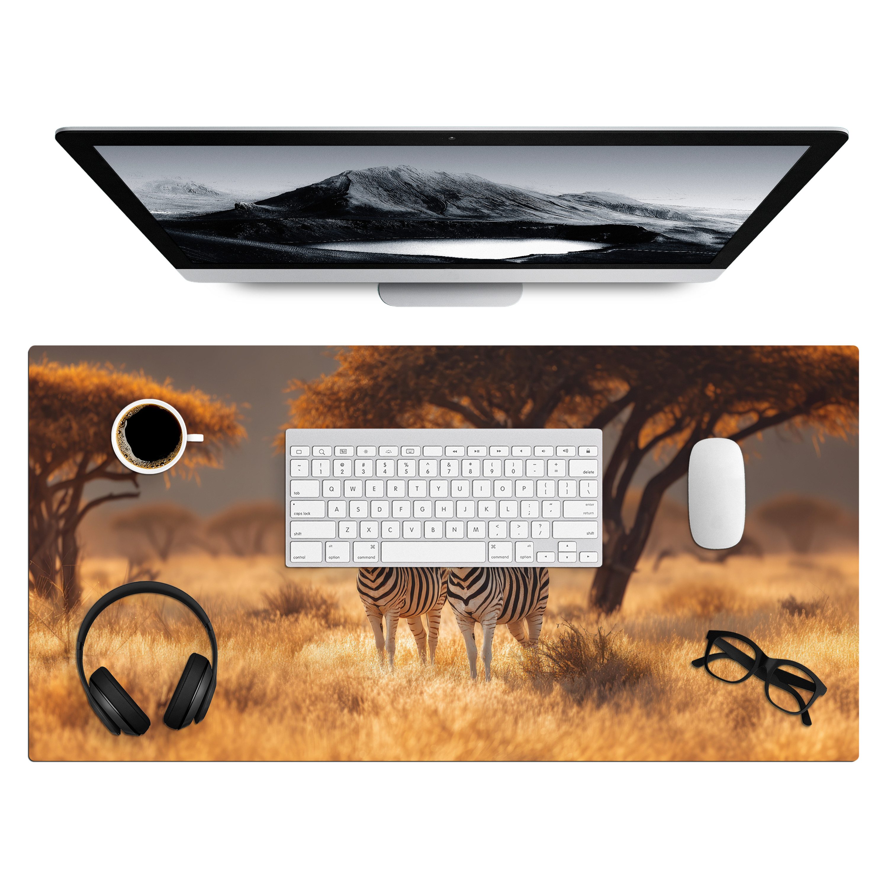 Zebras - Savannenlandschaft - Gras