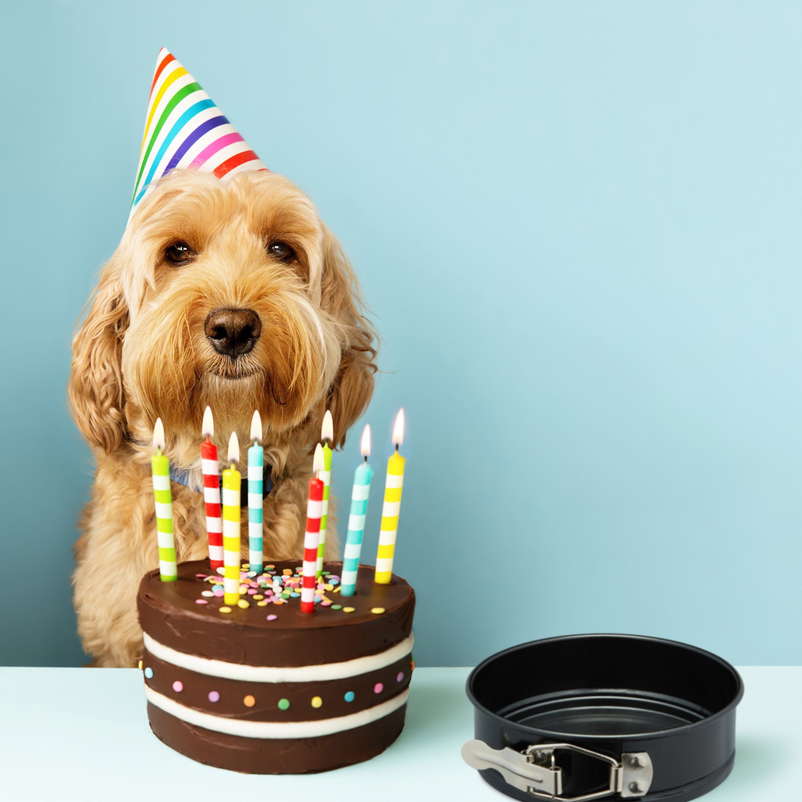 relaxdays Springform klein 5er Set