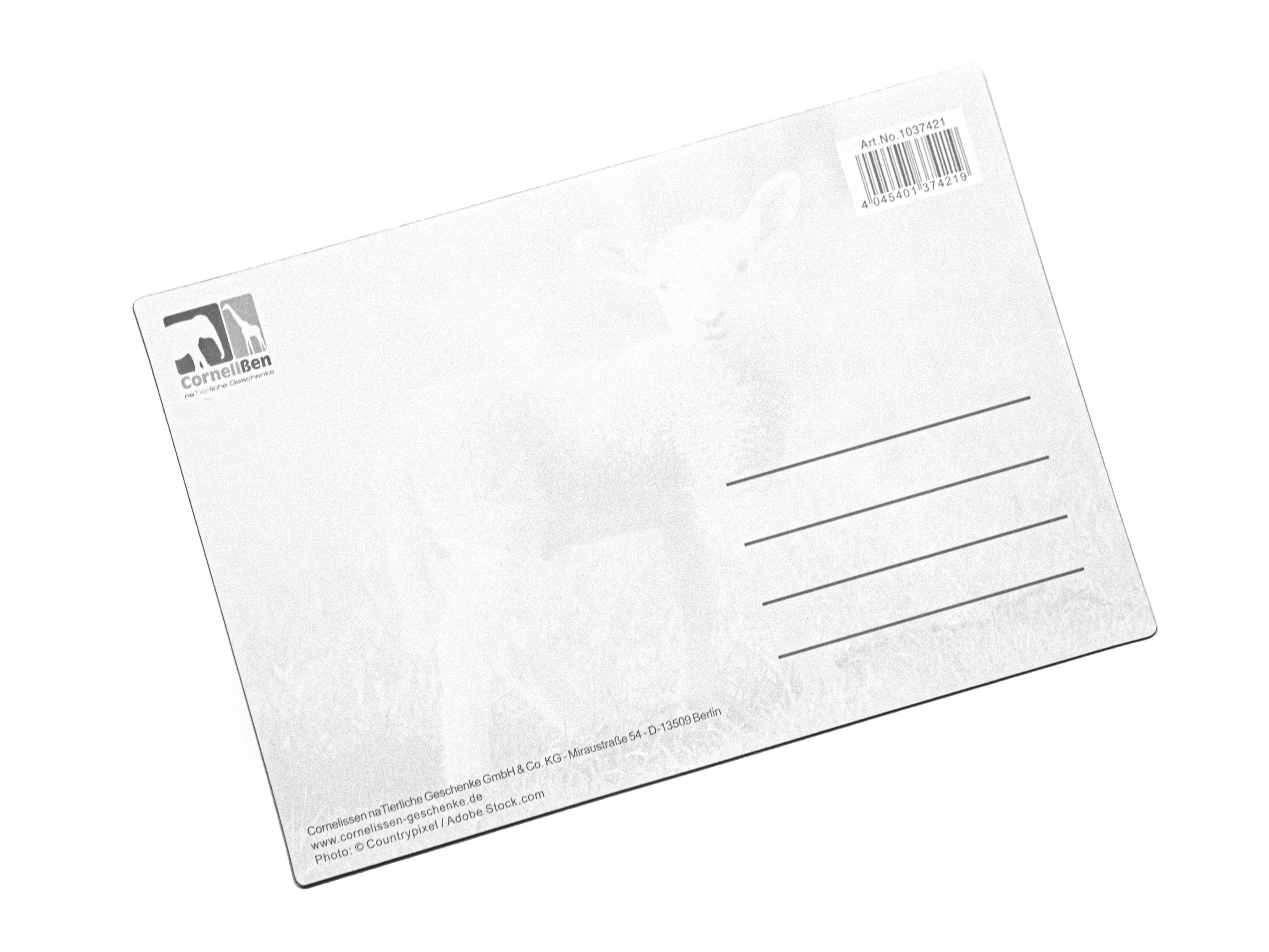 Thumbnail - Cornelißen Postkarte 3D Postkarte Schaf weiß, 3D