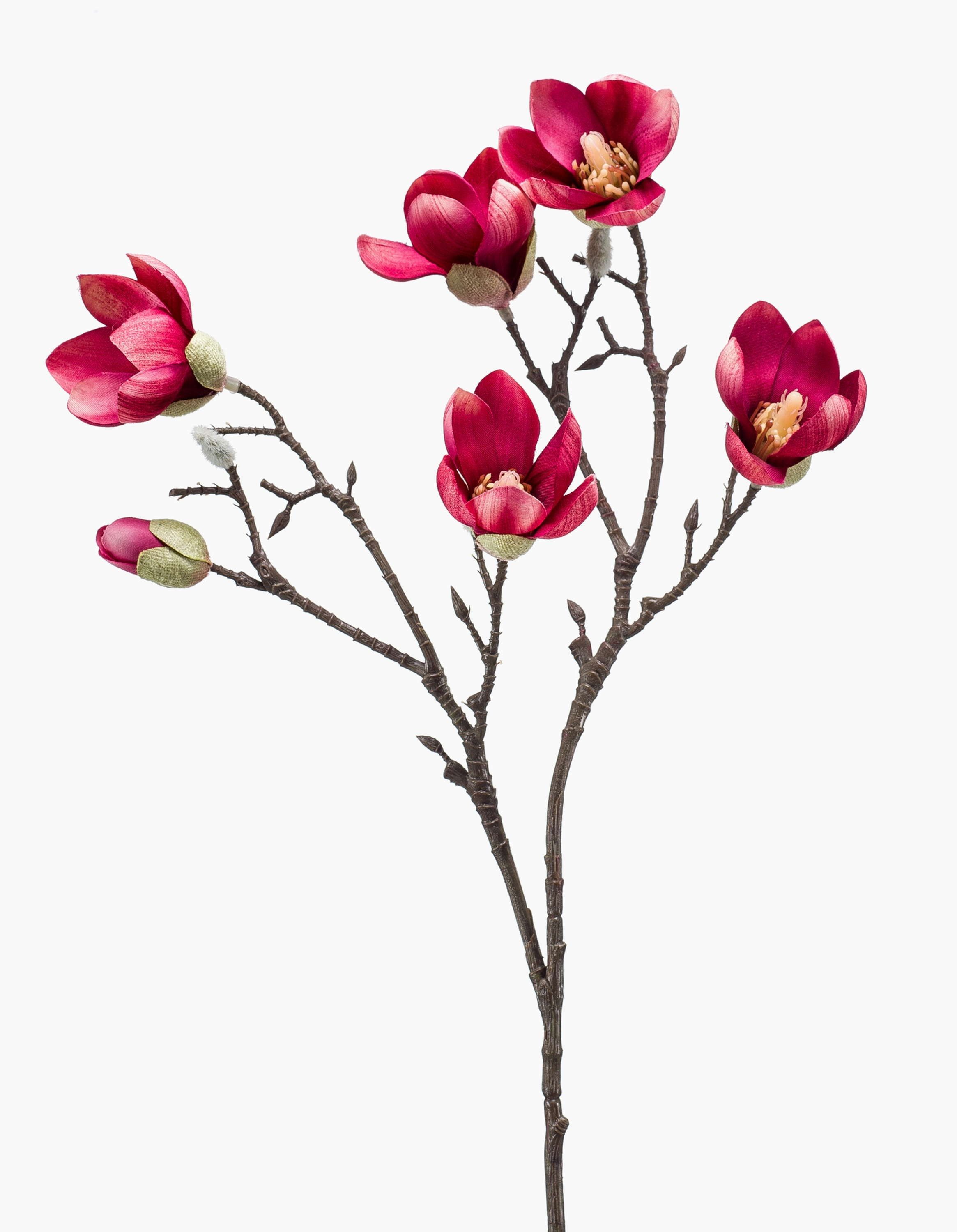 Kunstzweig Künstliche Magnolie ANEU, pink, 65cm Magnolie, artplants, Höhe 65.0 cm