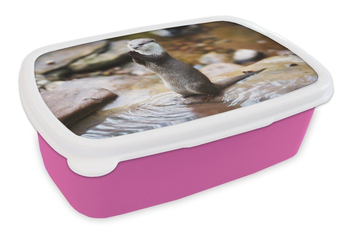 MuchoWow Lunchbox Otter steht aufrecht, Kunststoff, (2-tlg), Brotbox für Erwachsene, Brotdose Kinder, Snackbox, Mädchen, Kunststoff rosa