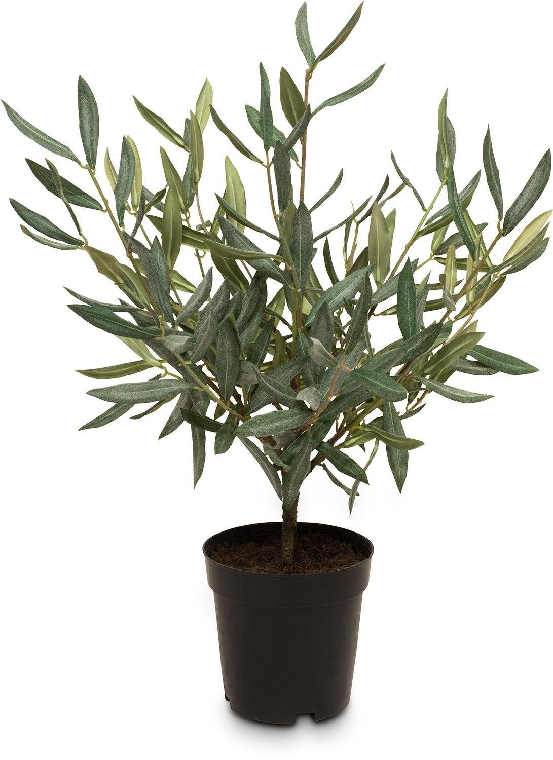 Kunstpflanze Olive Kunstpflanze 51 cm Olive, fleur ami, Höhe 51 cm