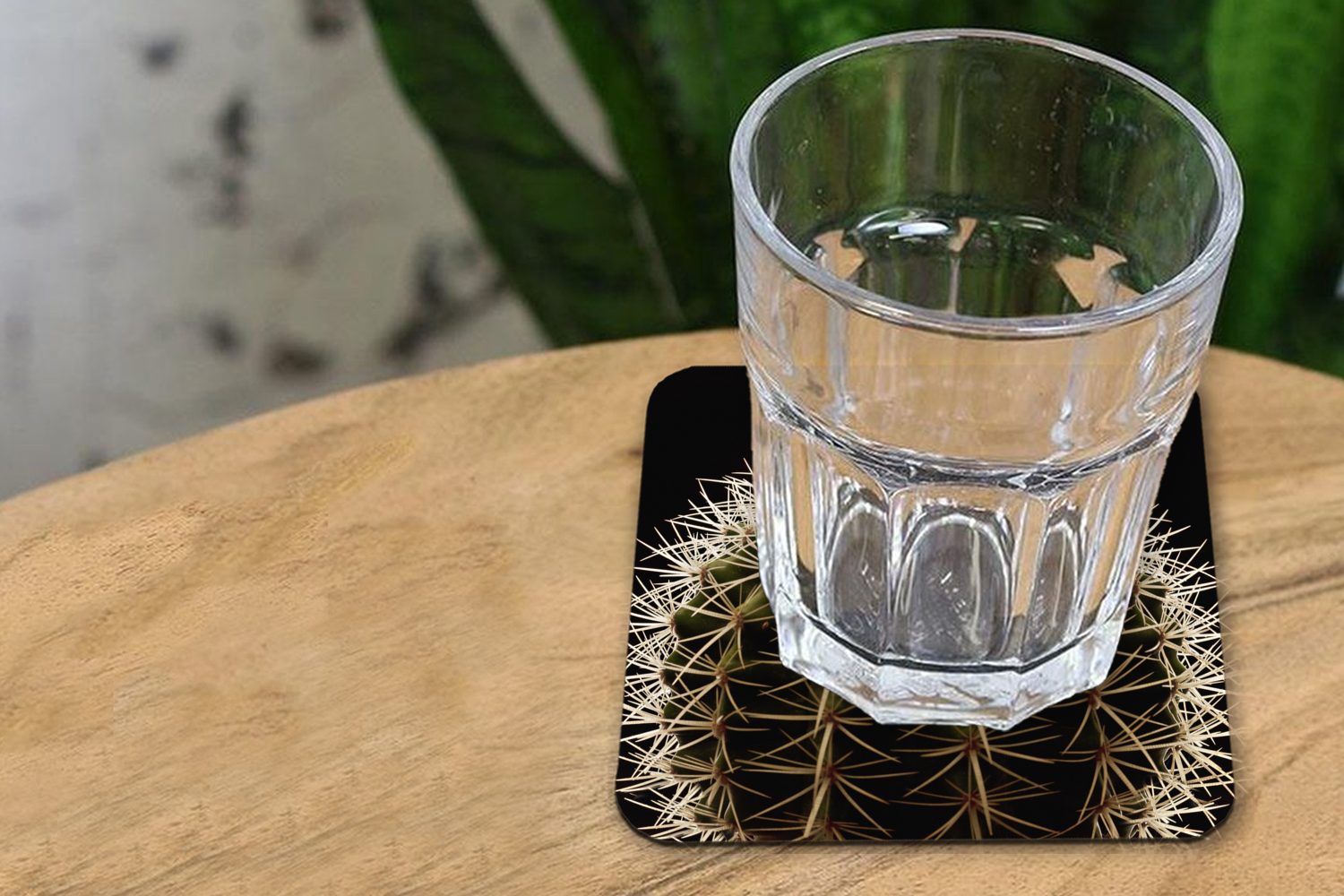 MuchoWow Glasuntersetzer Eine Nahaufnahme eines Kaktus auf Untersetzer, Korkuntersetzer, Gläser, 6-tlg., Tischuntersetzer, Glasuntersetzer, Hintergrund, Zubehör für dornigen Tasse schwarzem