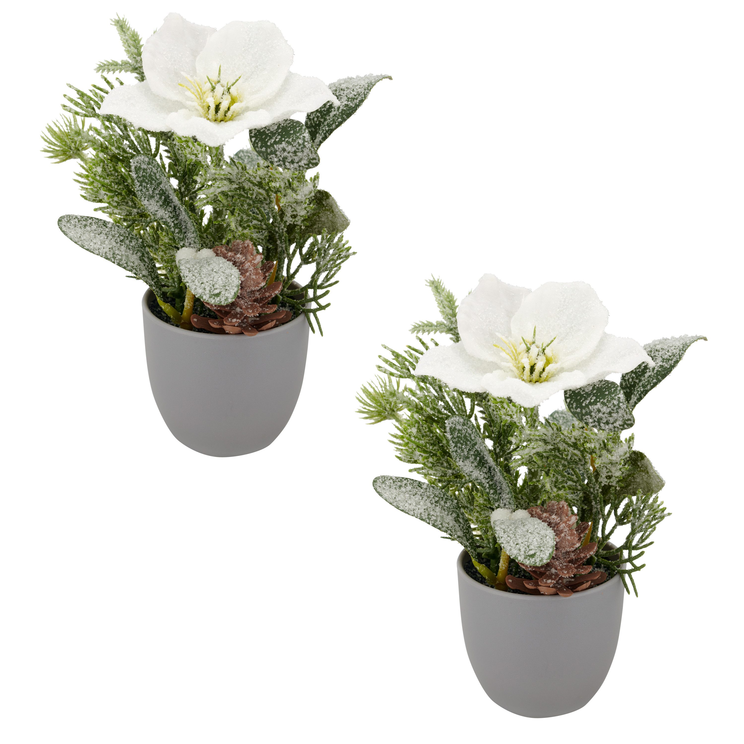 Winterliche Kunstpflanze Arrangement mit Christrose, Creativ green, Höhe 23 cm, mit üppiger Blütenpracht