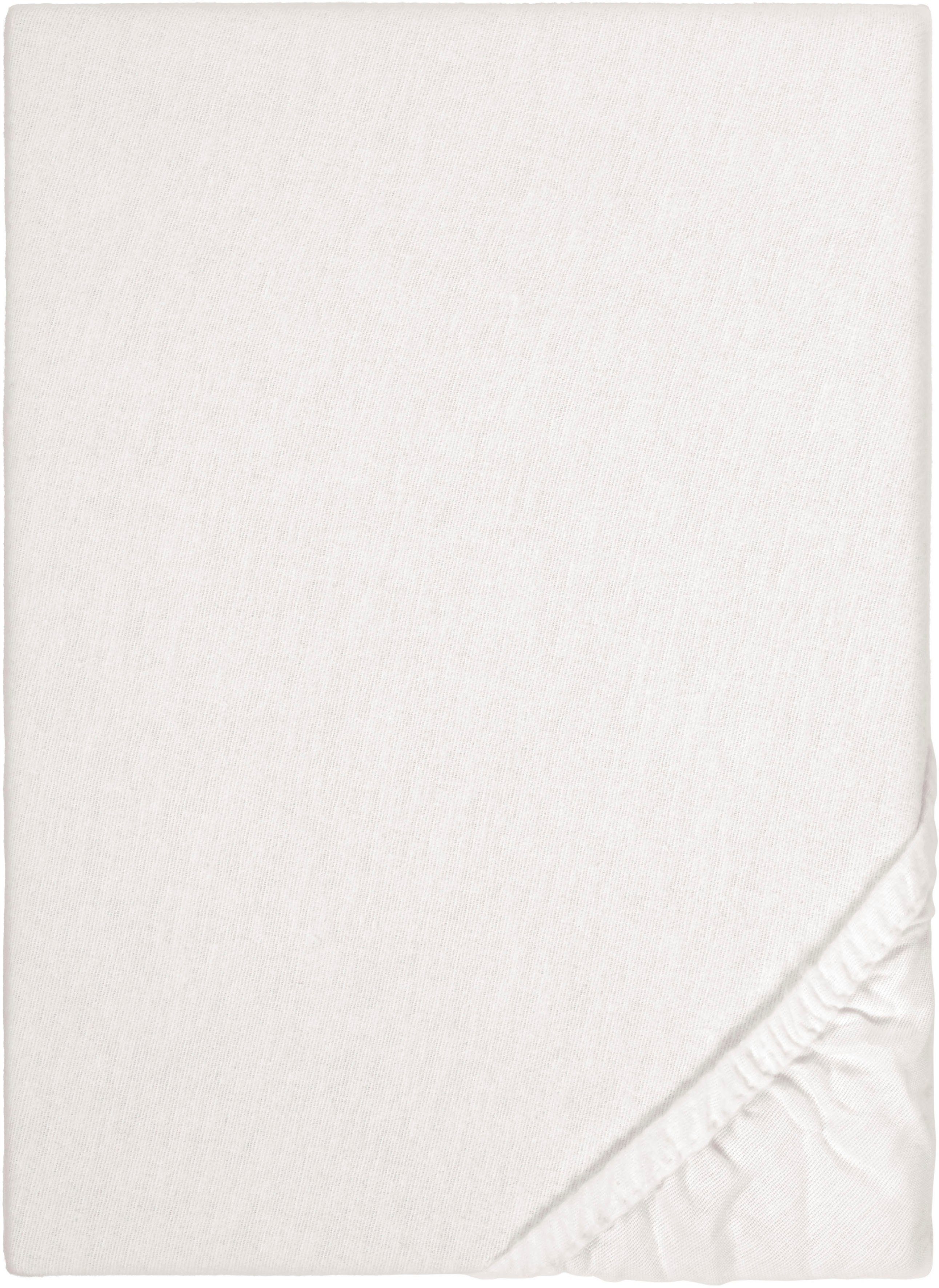 Biberna Spannbettlaken Biber in Gr. 90x200, günstig online kaufen