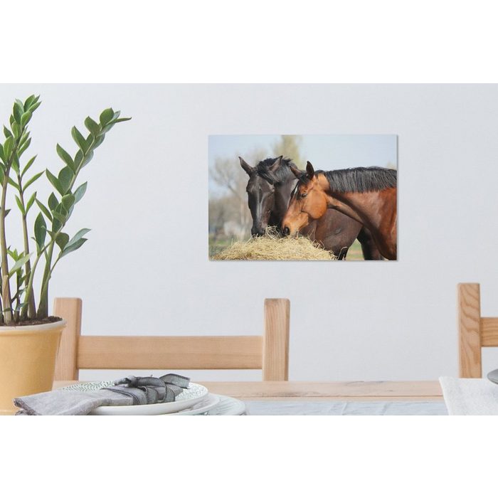 OneMillionCanvasses® Leinwandbild Pferde - Heu - Tiere (1 St) Wandbild Leinwandbilder Aufhängefertig Wanddeko SY12481