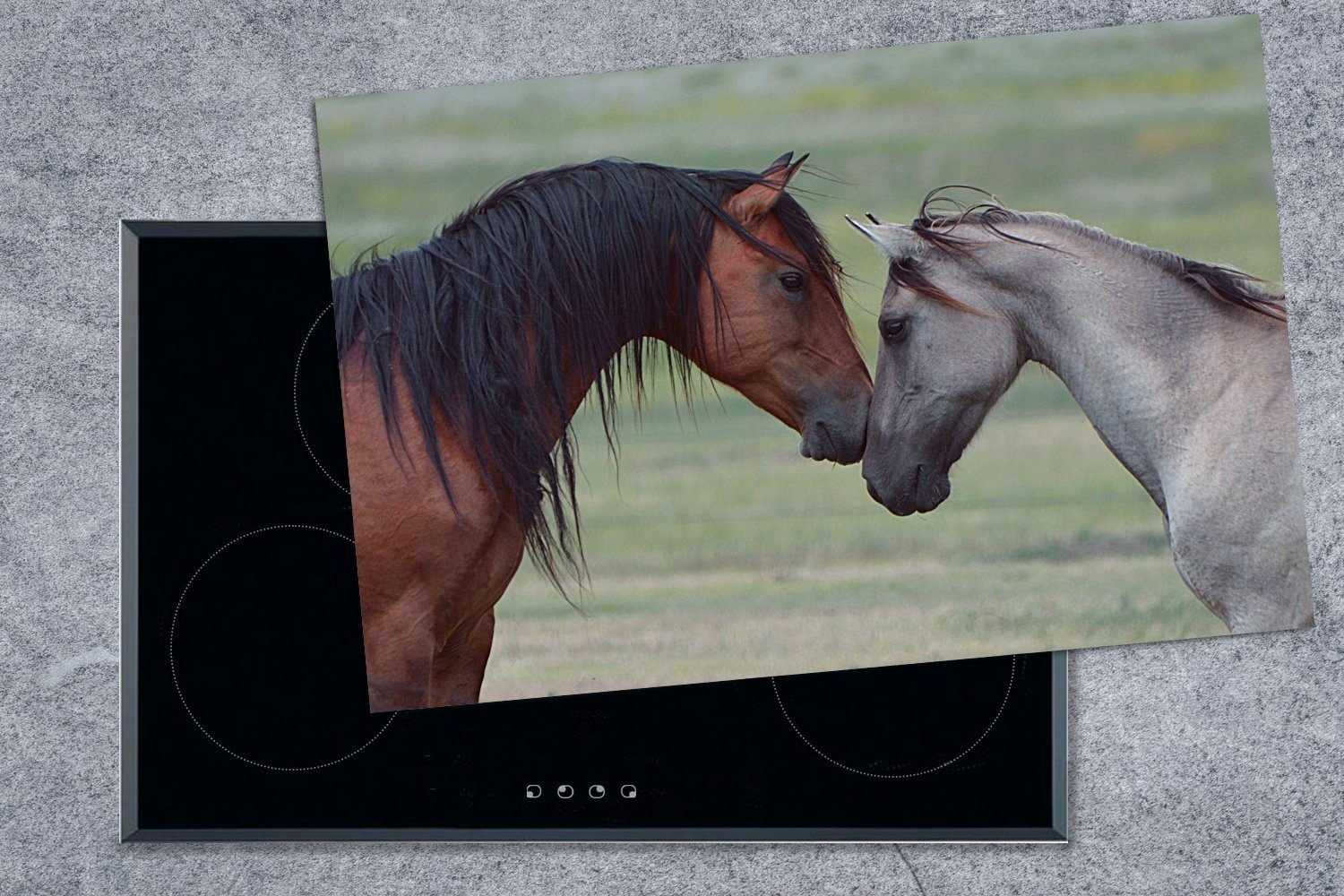 MuchoWow Herdblende-/Abdeckplatte Zwei wilde Mustang-Pferde 81x52 Schutz cm, Ceranfeldabdeckung (1 die Köpfe legen Induktionskochfeld Vinyl, küche, aneinander, tlg), für ihre