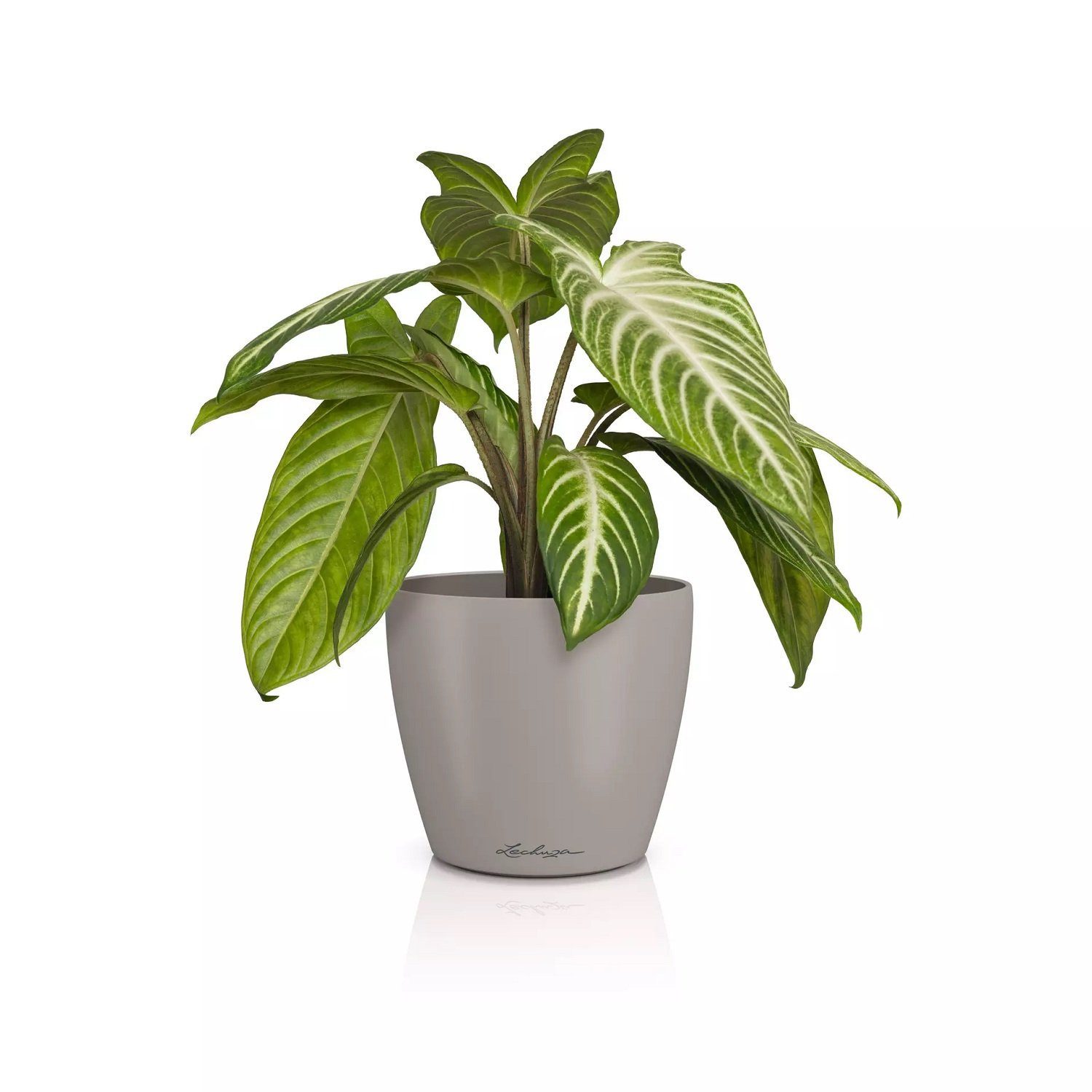 Lechuza® Übertopf Classico Color 14 DECO sandbraun
