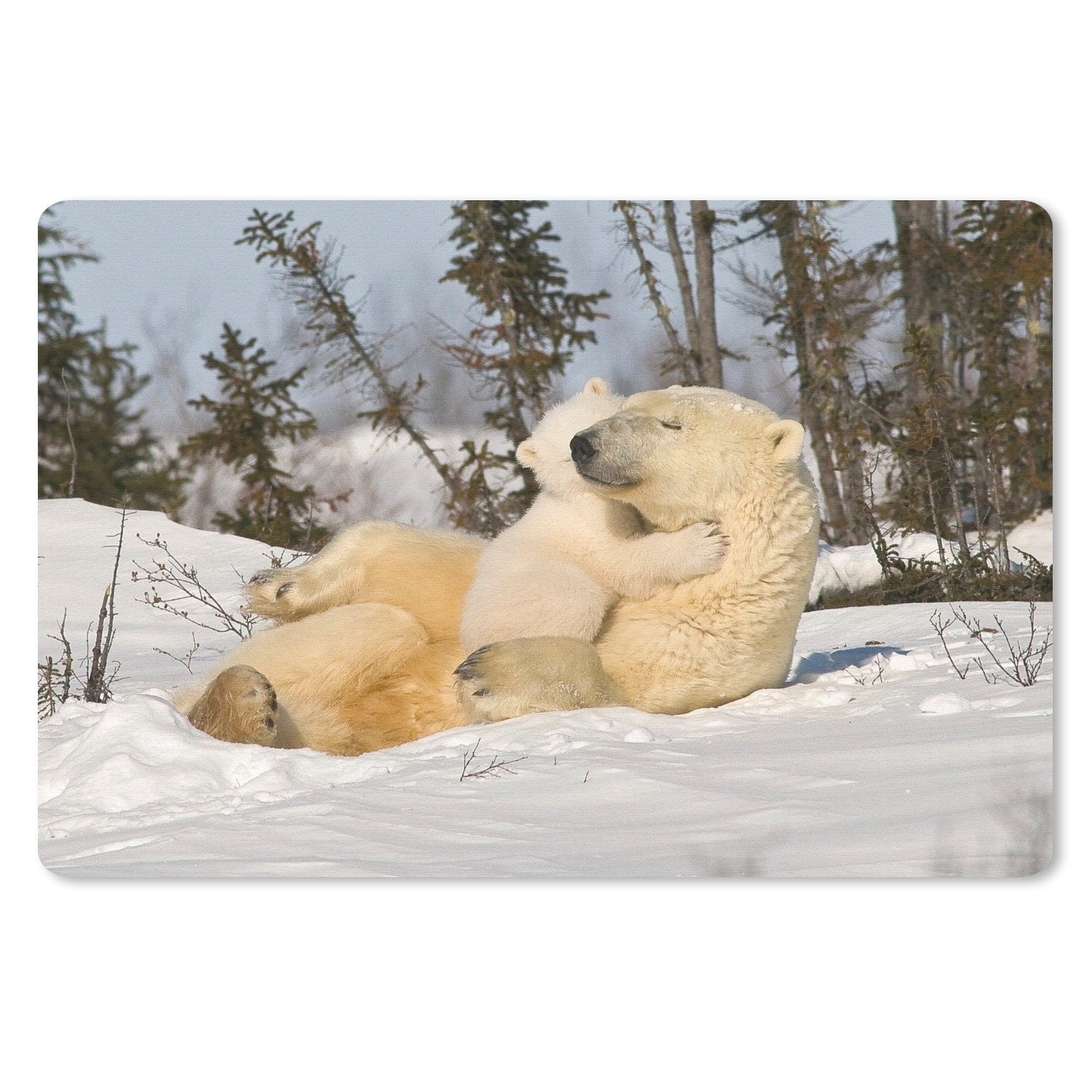 MuchoWow Mauspad Eisbär - Schnee - Höhle - Jungtier (1-St), Gaming, Mousepad Klein, Büro Zubehör, Mausunterlage, 23x19 cm