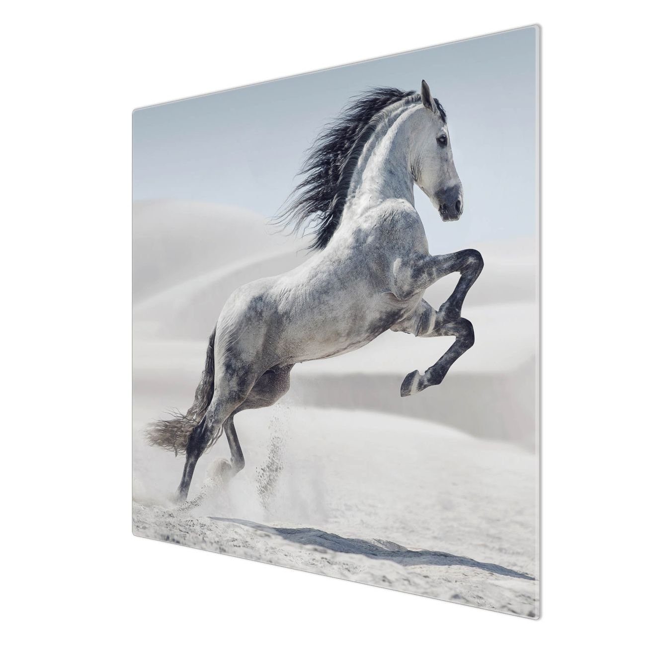 inkl. Wildes tlg., selbstklebende Pferd, banjado 1 Herd-Abdeckplatte Glas Gummifüßchen) (gehärtet,