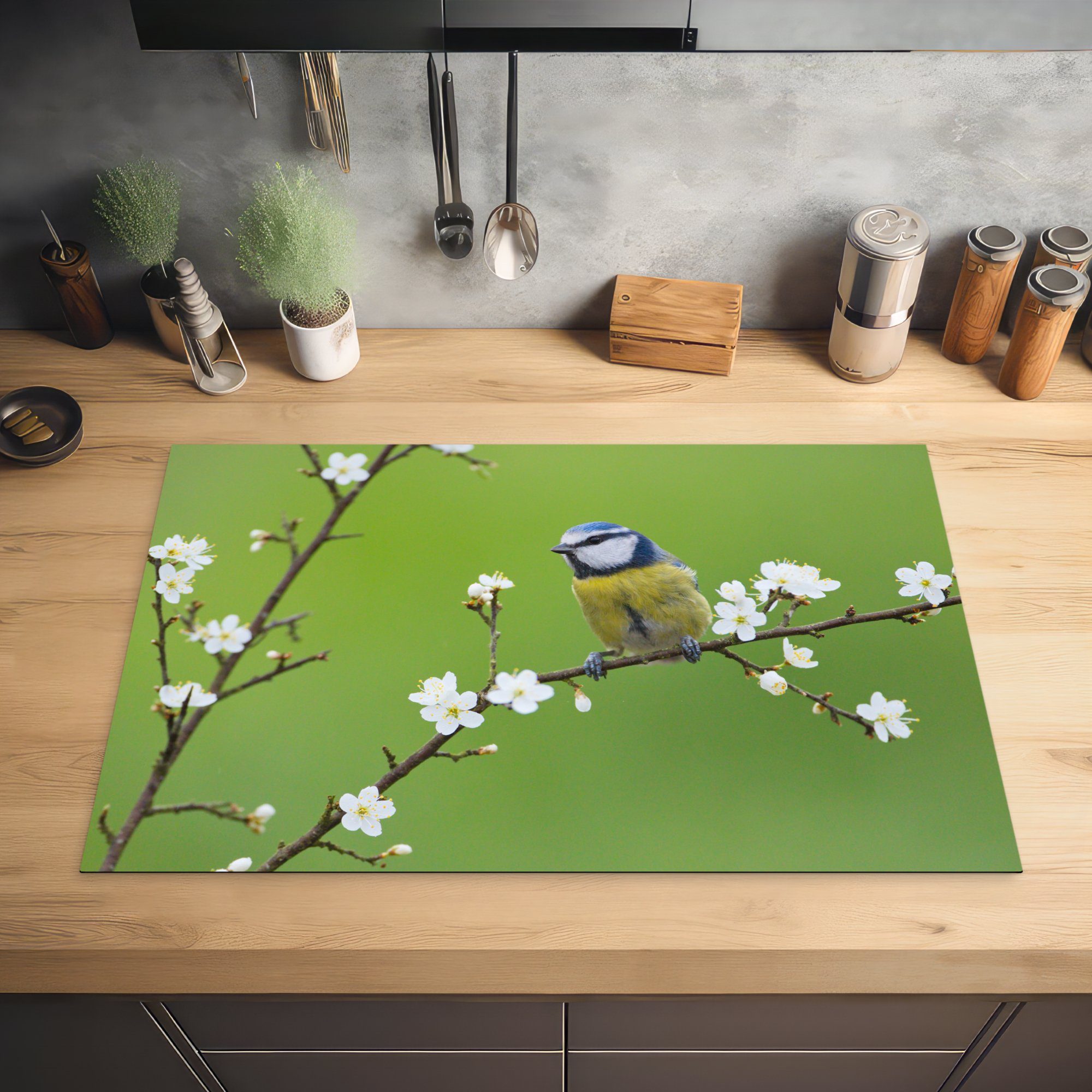 Ceranfeldabdeckung, Blühende Zweige (1 MuchoWow Blumen 81x52 cm, - - tlg), Arbeitsplatte Vogel, Herdblende-/Abdeckplatte Zweig Vinyl, Blaumeise - - für küche