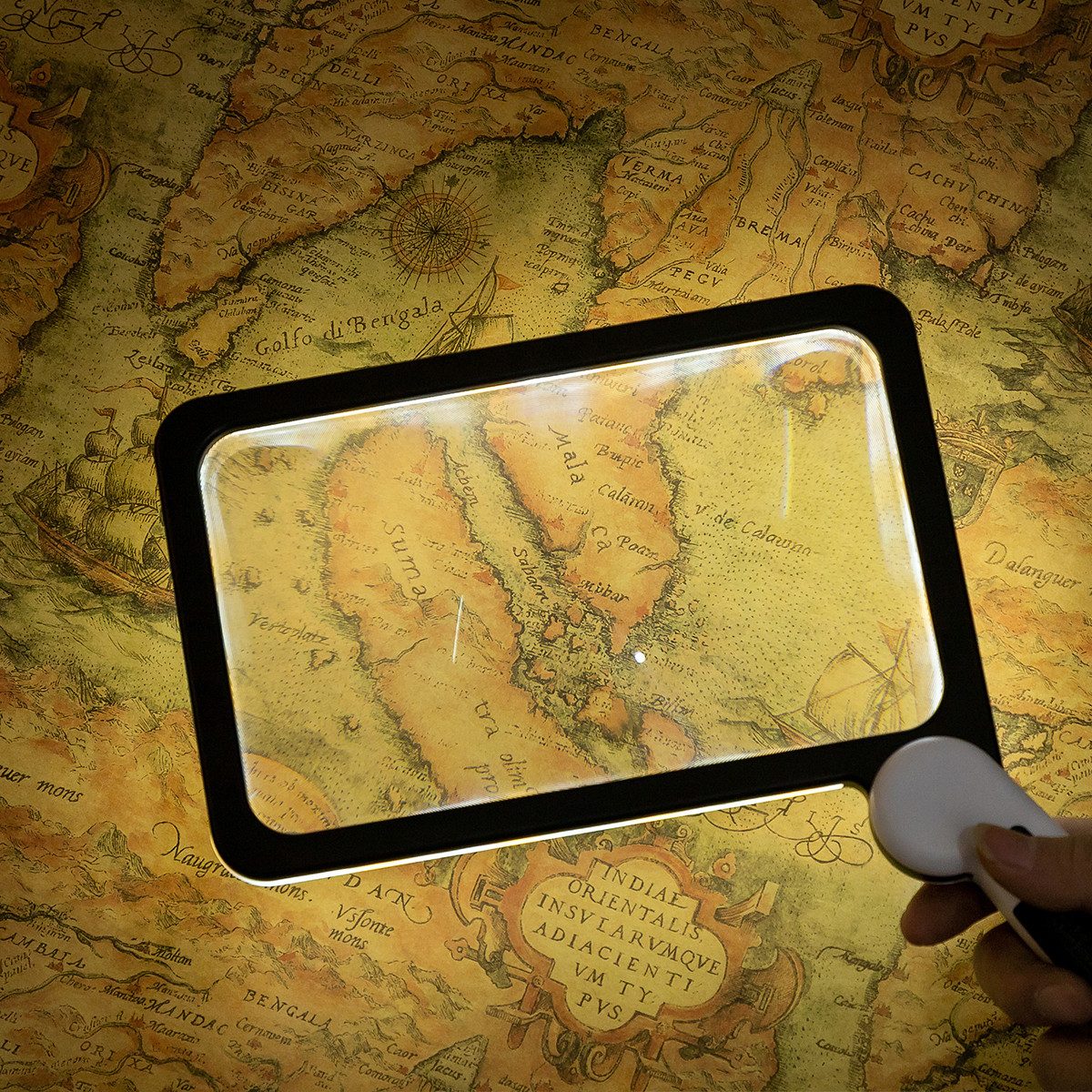 KINSI Handlupe Square Handheld Folding Lupe für ältere Menschen Buch lesen, Mit 48 LEDs, gummibeschichteter Griff