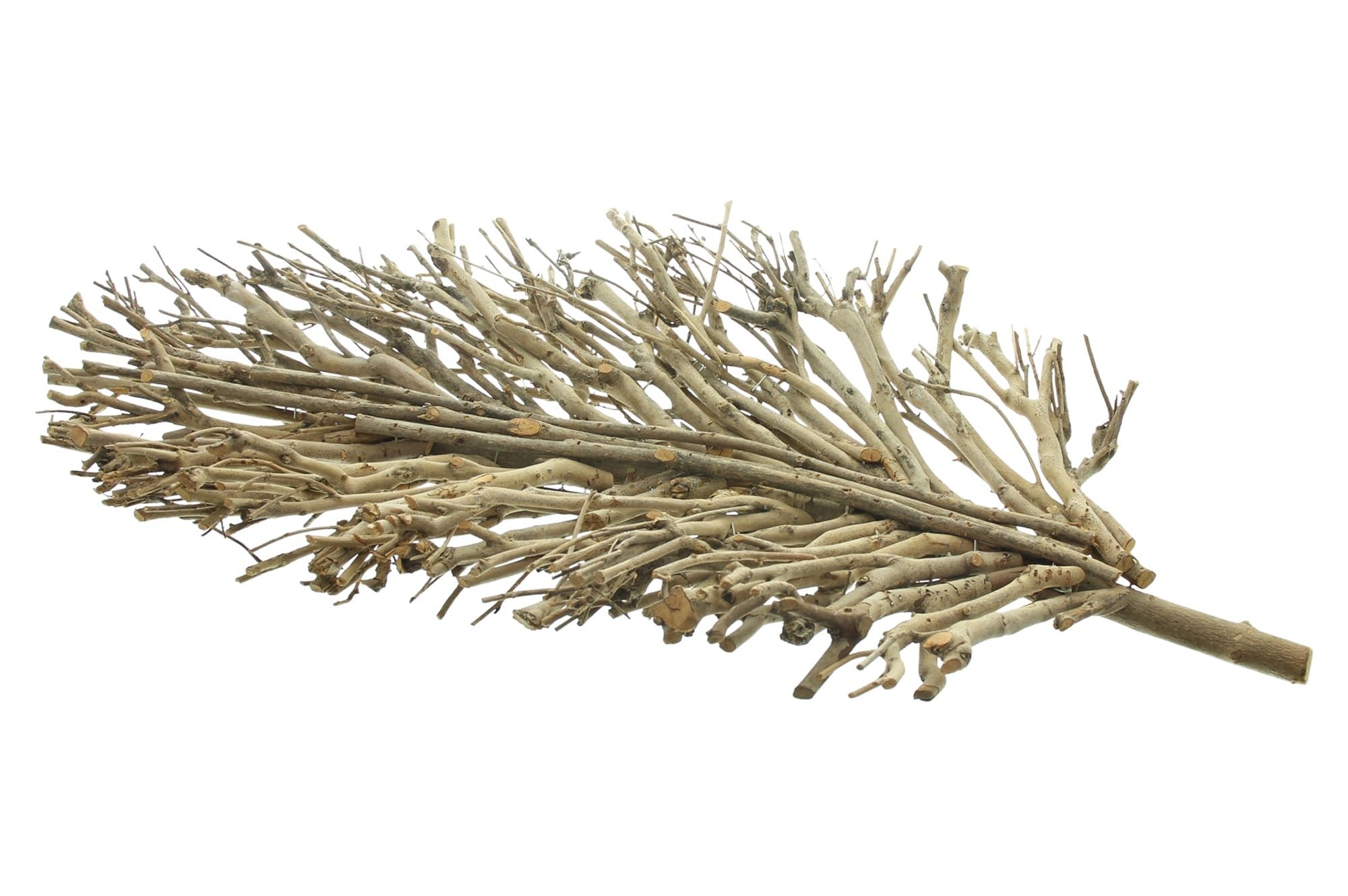 Dekoleidenschaft Dekoschale "Verzweigt" 60 cm lang, Teebaum Zweige, Obstschale, Holzschale, Schale, Tischdeko aus Holz, für Tisch, Flur, Eingangsbereich, DIY Deko