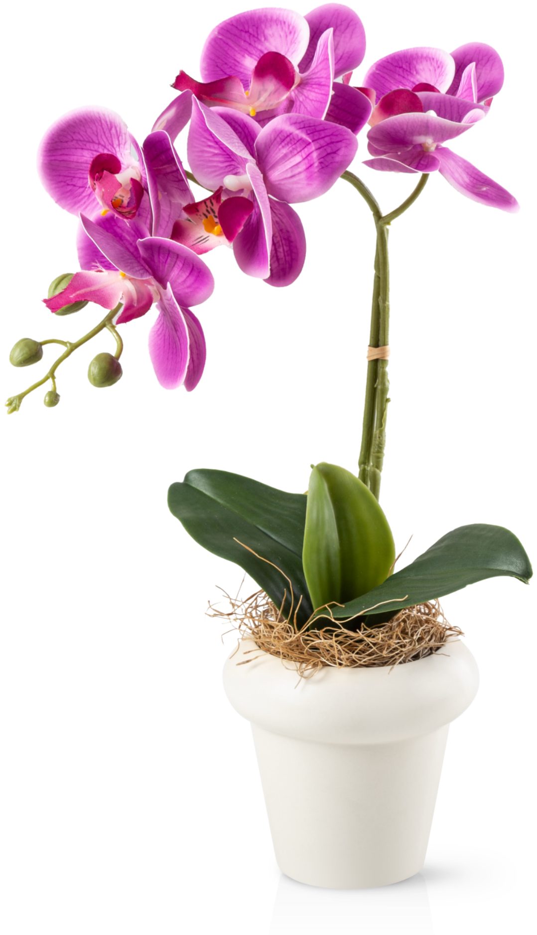 Kunstblume Kunstblumen im Topf, Künstliche Blumen wie echt, Deko Blumen Geranie, Kamelie, Orchidee, Azalee, Veilchen, PASCH, Hochwertiger Keramiktopf