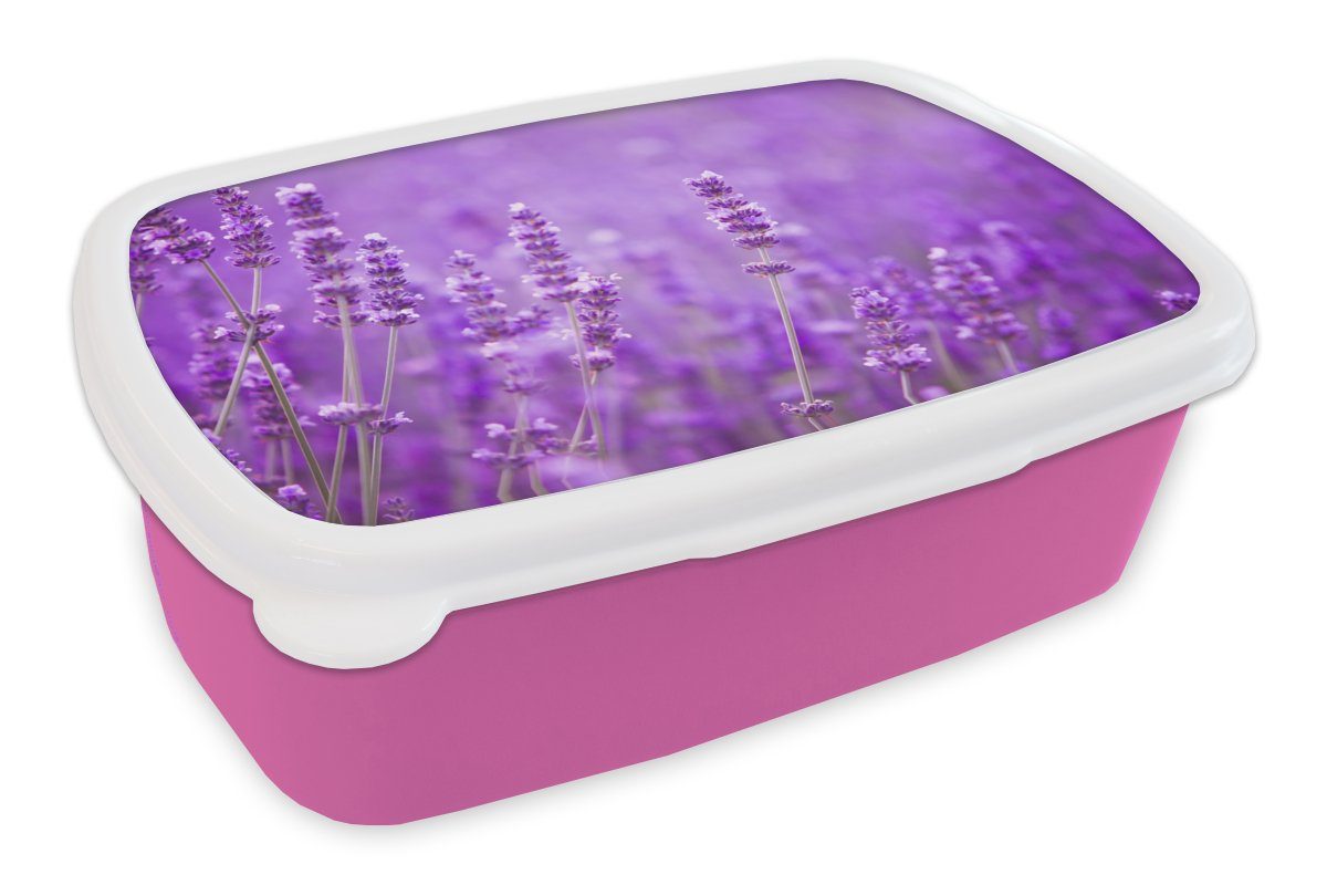 MuchoWow Lunchbox Lavendel - Nahaufnahme rosa Kinder, Snackbox, Kunststoff - Lila, Kunststoff, für Brotdose Mädchen, (2-tlg), Brotbox - Erwachsene, Blumen