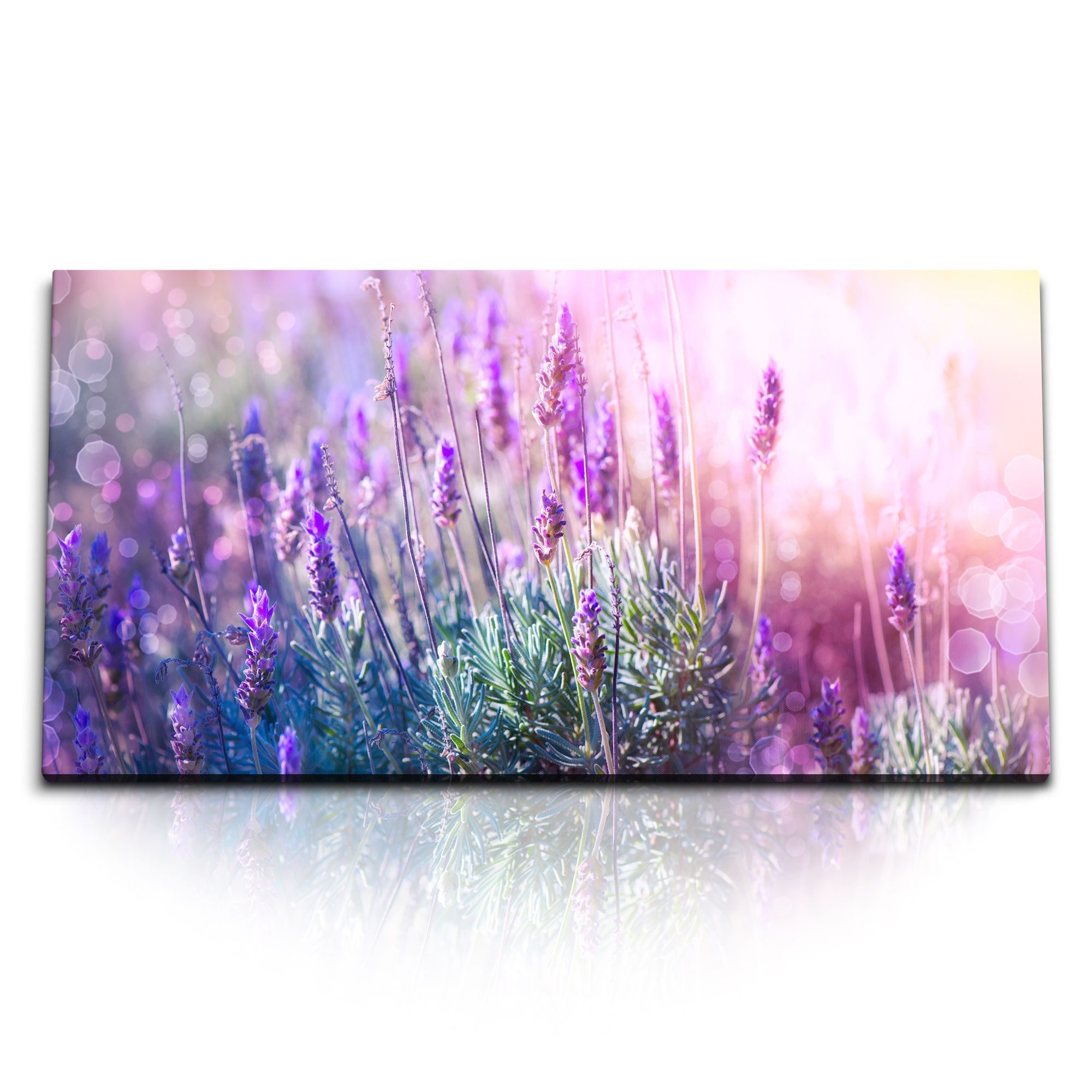 Leinwandbild Kunstdruck Bilder 120x60cm Lavendel Blumen Natur Sonnenschein Sommer