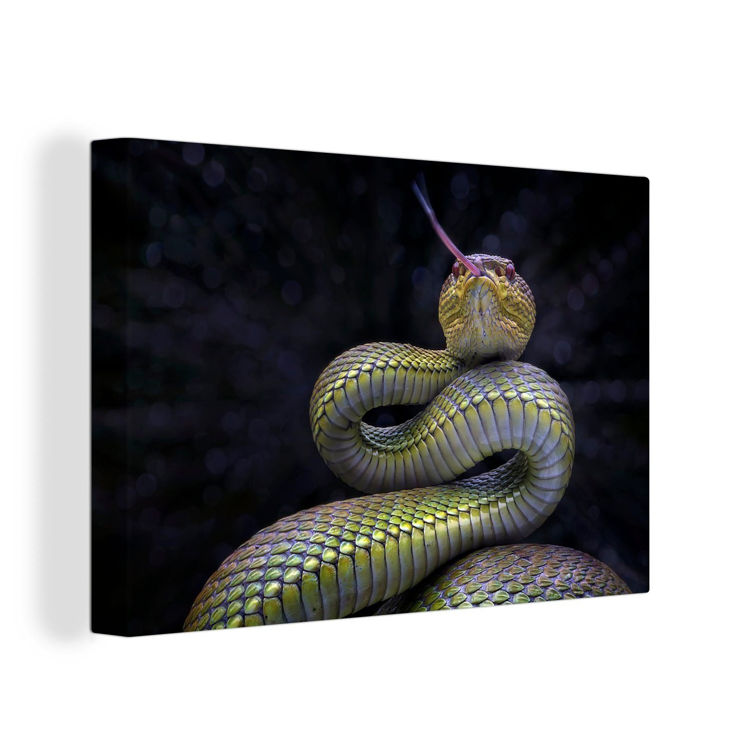 OneMillionCanvasses® Leinwandbild Schlange in Verteidigungsstellung, Fotodruck (1 St), Leinwand Bilder groß für Wohnzimmer 140x90 cm