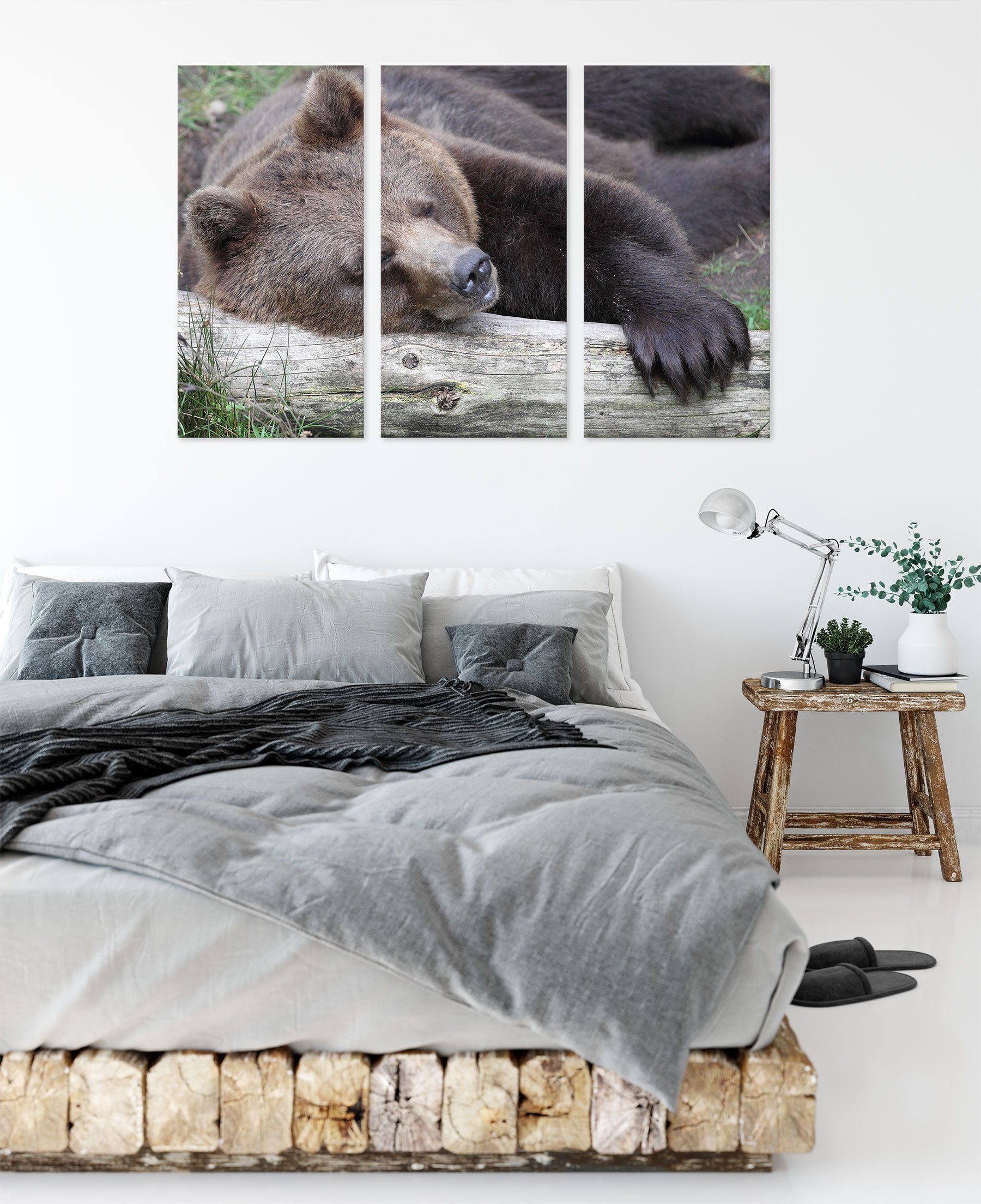 Pixxprint Leinwandbild Bär schläft auf auf St), inkl. Bär Baumstamm, fertig bespannt, (1 schläft Zackenaufhänger Baumstamm (120x80cm) 3Teiler Leinwandbild