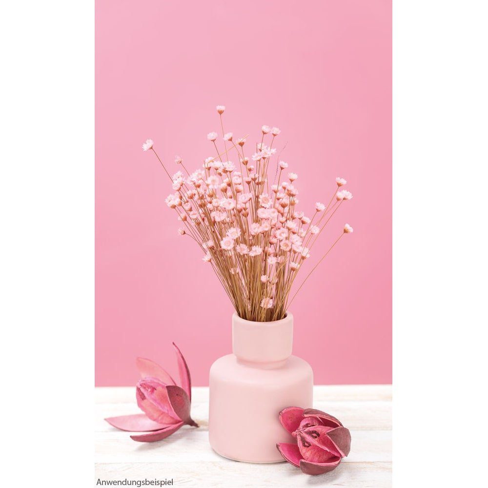 matches21 cm & Dekovase matt St) Keramikvase pink HOME Ø 8x11 HOBBY (1 rosa Flasche Blumentopf
