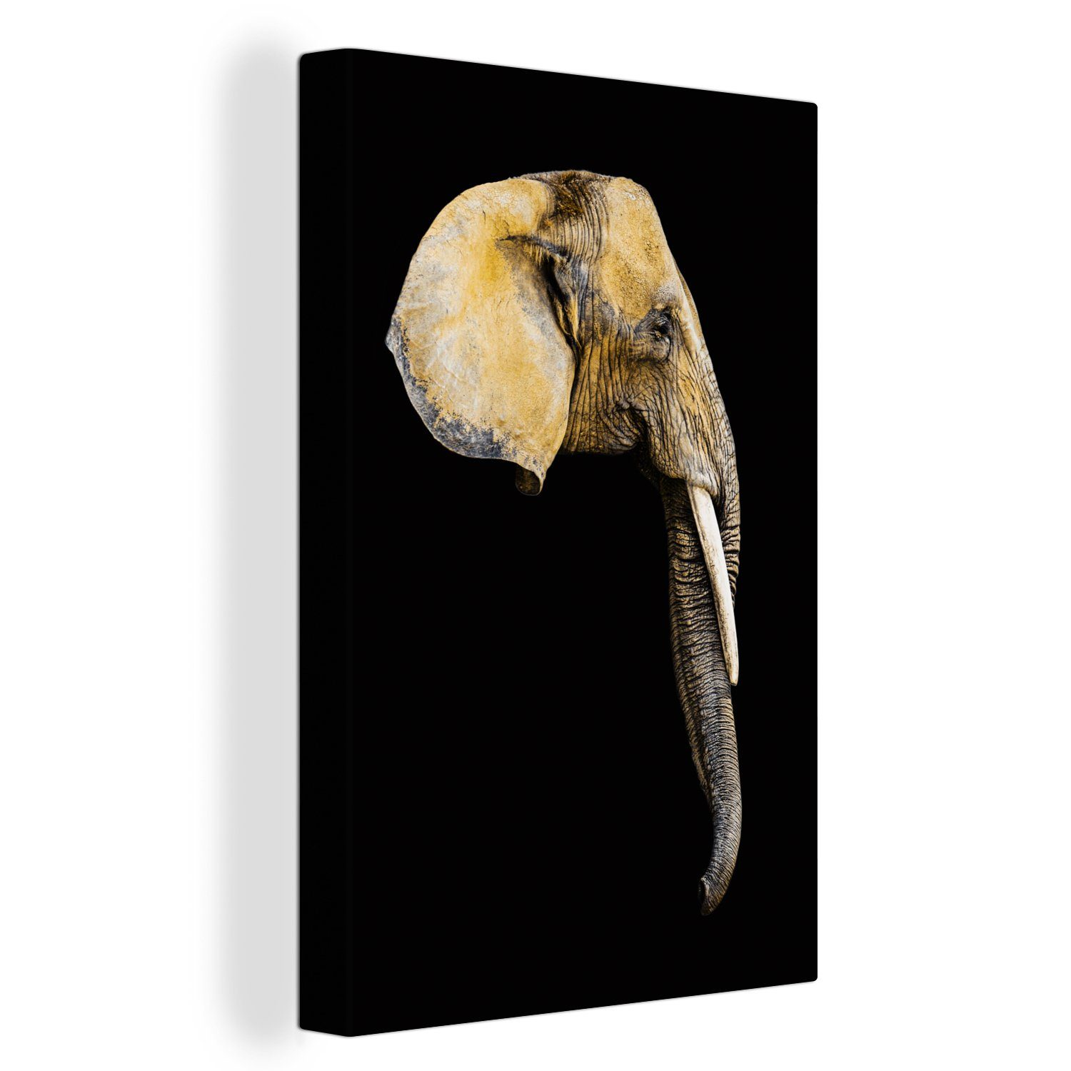 20x30 Leinwandbild Leinwandbild Schwarz, - Gemälde, St), inkl. Elefant - fertig cm (1 Zackenaufhänger, Kopf OneMillionCanvasses® bespannt