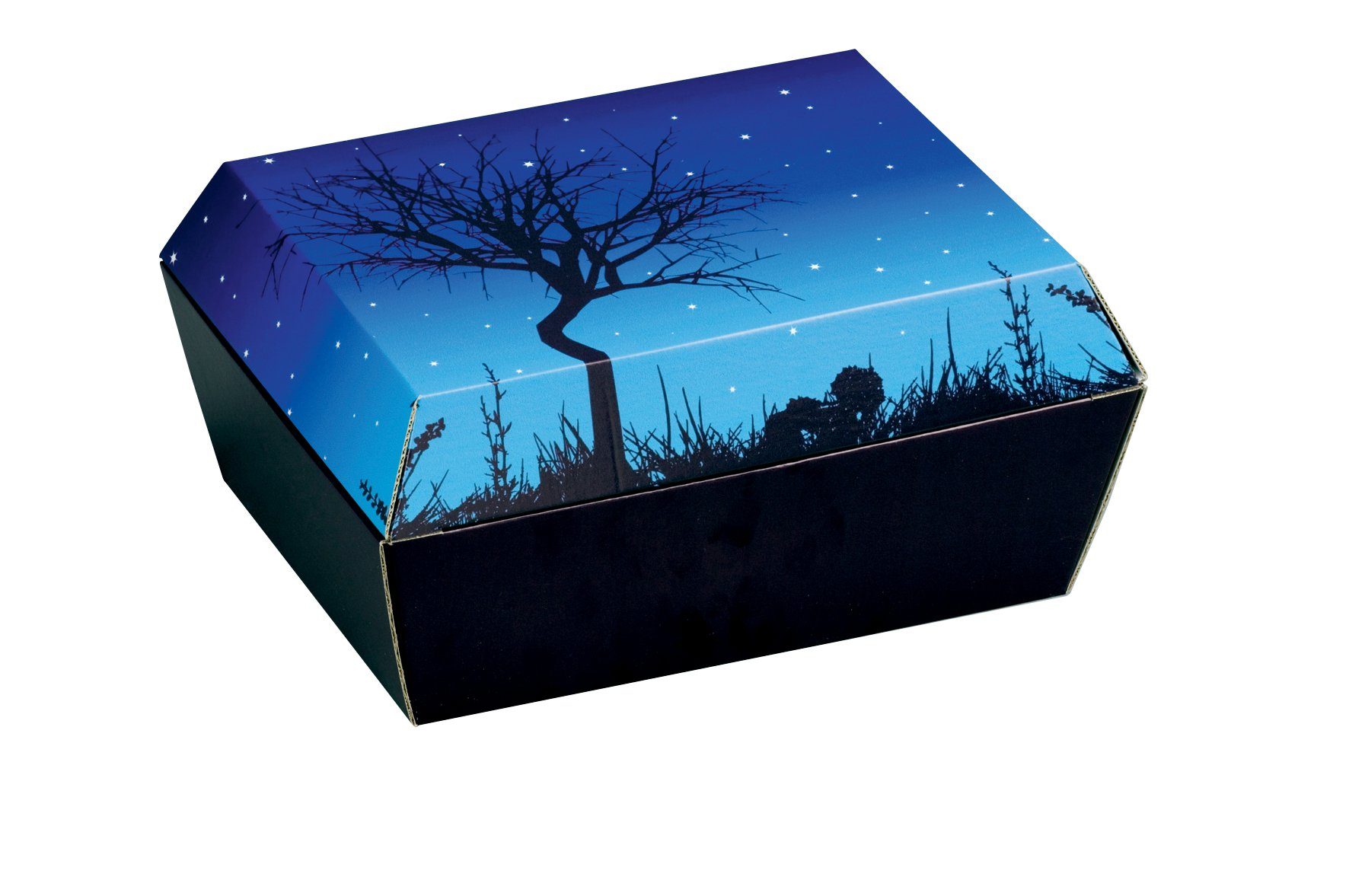 NIPS Aufbewahrungsbox AMOPET Tiersarg (1 St), günstig online kaufen
