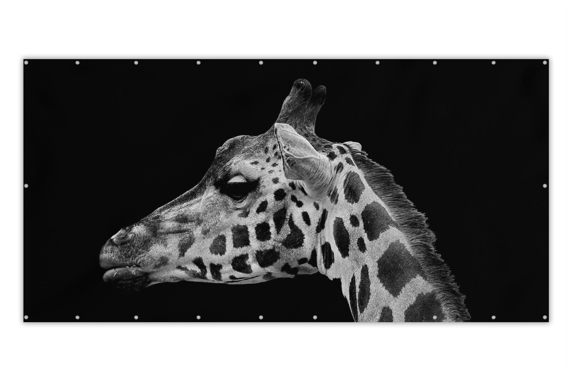 MuchoWow Balkonsichtschutz Tiere - Giraffe - Schwarz - Weiß (1-St) Balkonbespannung mit Metalösen, UV-beständig, Balkonbanner